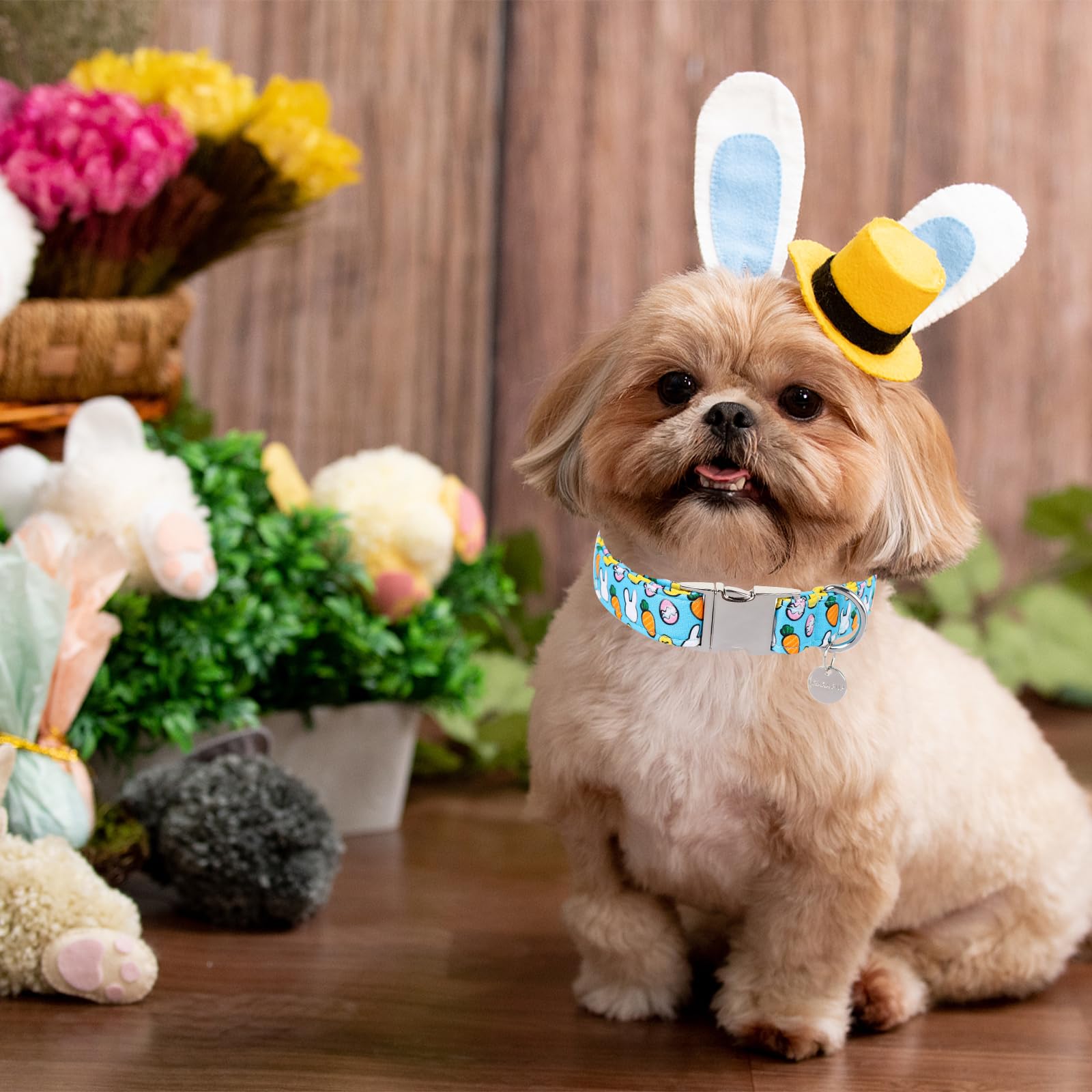 Easter Dog Collar, Cotton Easter Egg Collar for Puppy Girl Boy Dog or Cat, Easter Day Gift Rabbit Dog Collar, Cute Carrot Pet Dog Collar with Metal Buckle