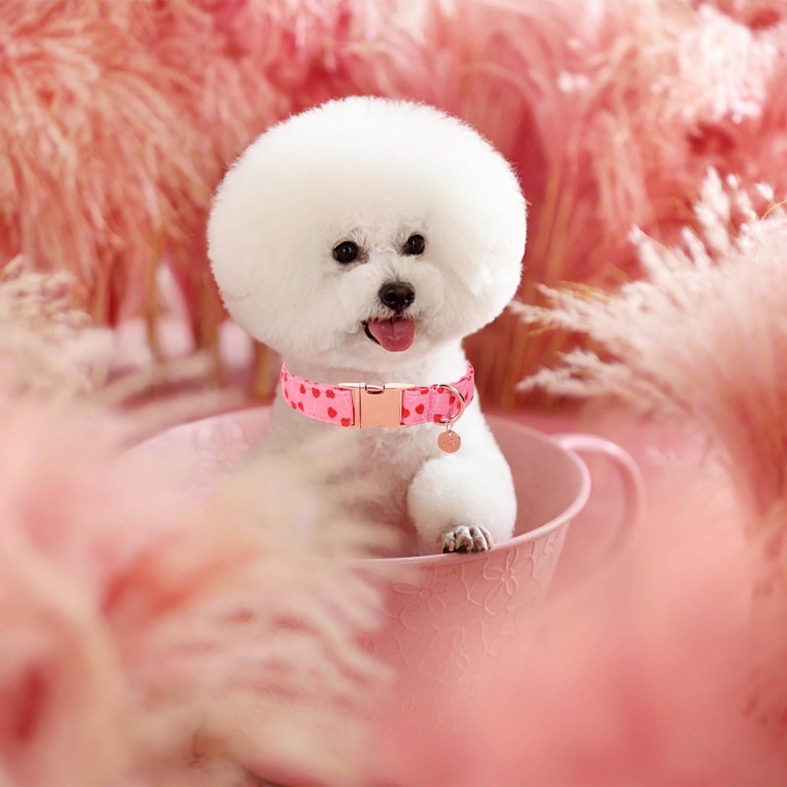 Valentine's Day Dog Collar,Pink Heart Dog Collar for Small Medium Large Girl Boy Dogs or Cats, Wedding Dog Collar Match Dog Leash, Pet Collar with Metal Buckle