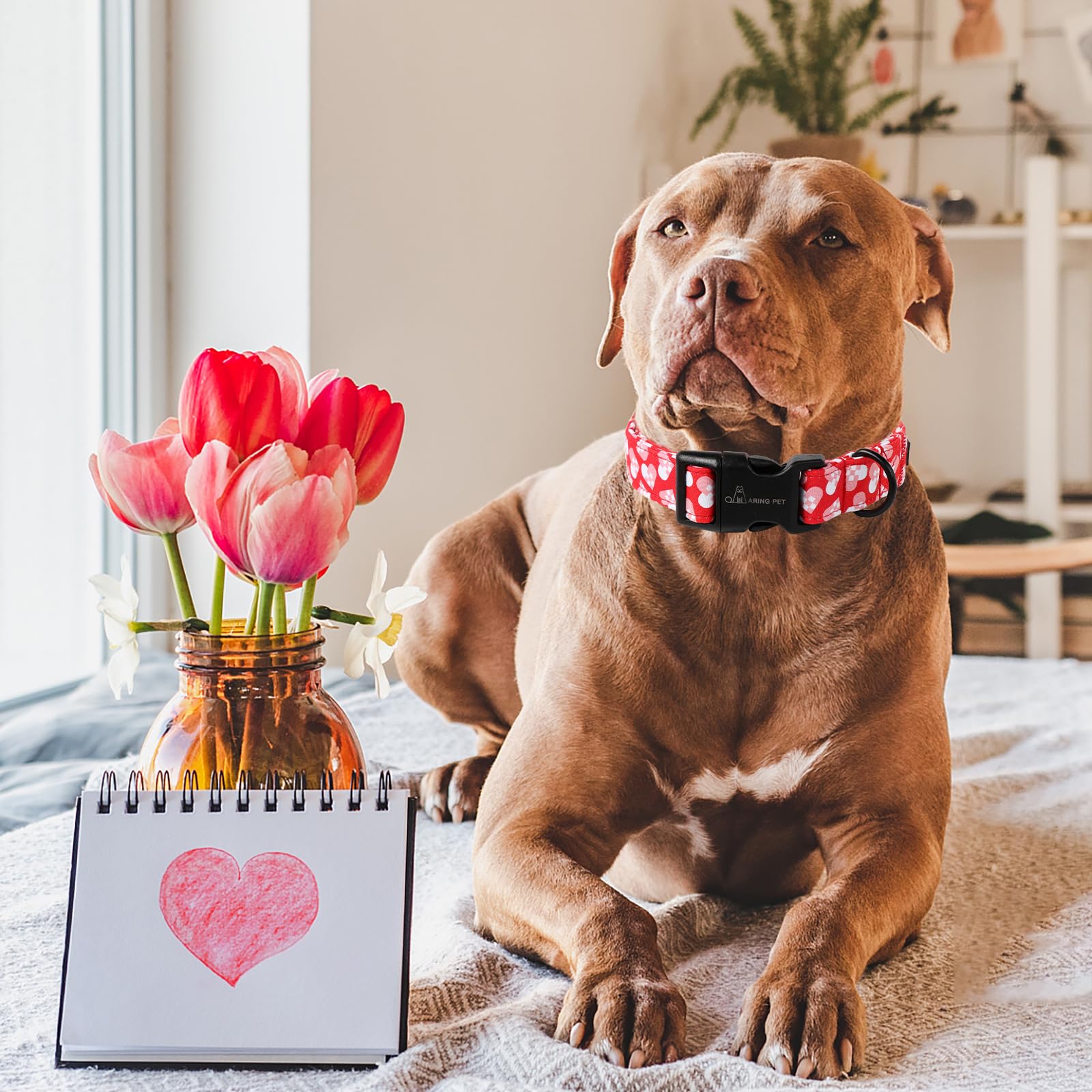 Valentine's Day Dog Collar-Cotton Heart Dog Collars, Adjustable Valentine Heart Pet Collars Puppy Collar with Quick Release Buckle for Girl&Boy Dogs