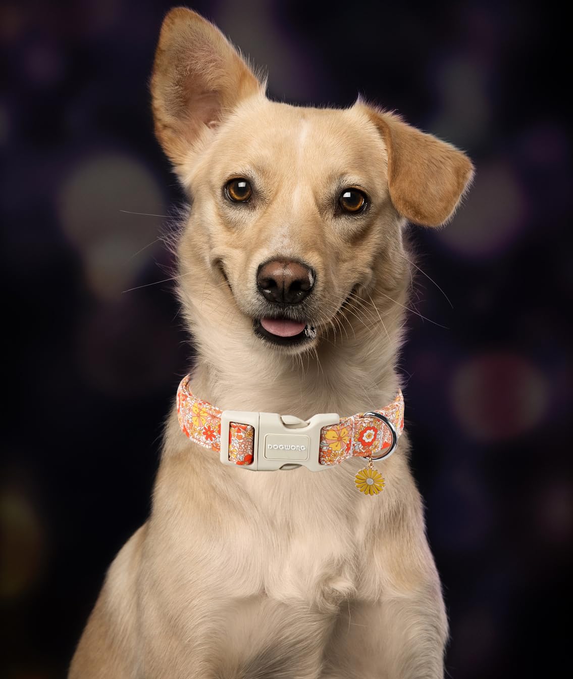 Fall Flower Dog Collar- Cute Flower Dog Collars Adjustable Floral Dog Collar for Girl Female Small Medium Large Dogs