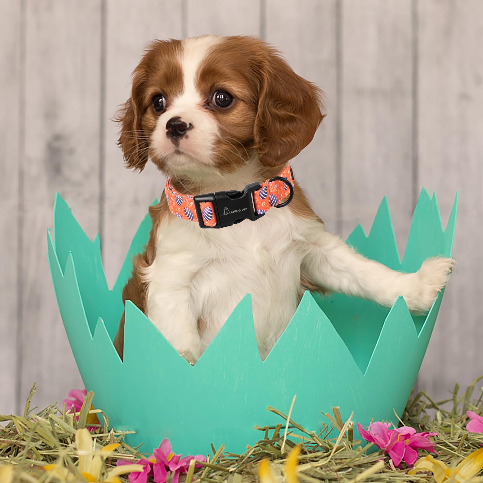 Easter Dog Collar-Cute Easter Eggs Dog Collar, Adjustable Cotton Easter Pet Collar Puppy Collars with Quick Release Buckle