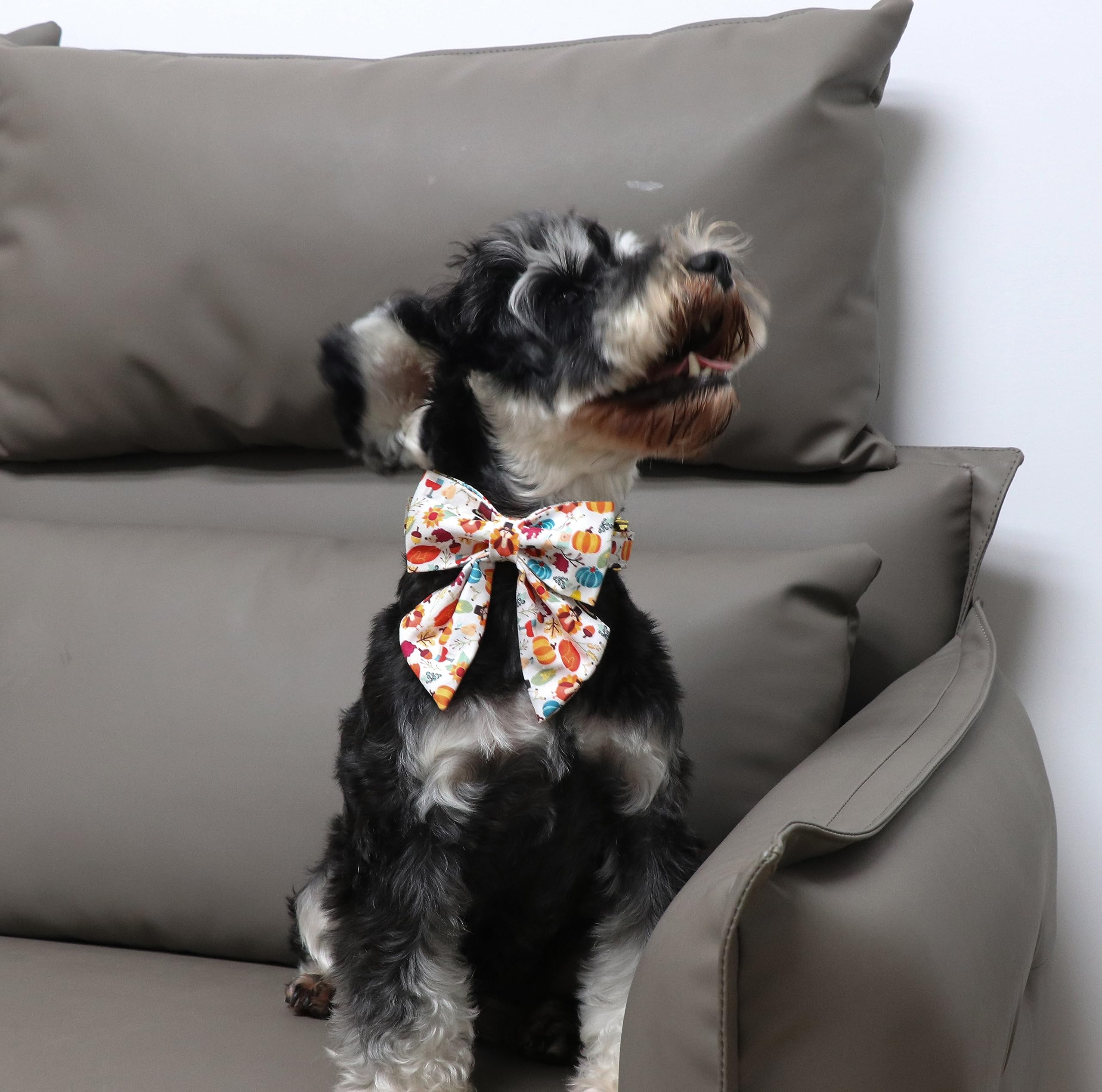 Halloween Pumpkin Plaid Dog Collar with Sailor Bow
