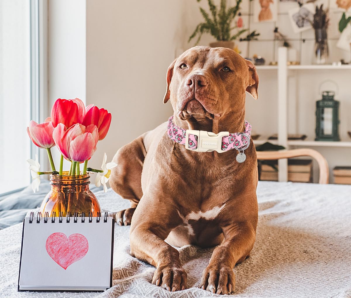Valentine's Day Dog Collar, Love Letter Dog Collar, Adjustable Durable Pink Heart Dog Collar Cute Dog Collar for Small Medium Large Dogs