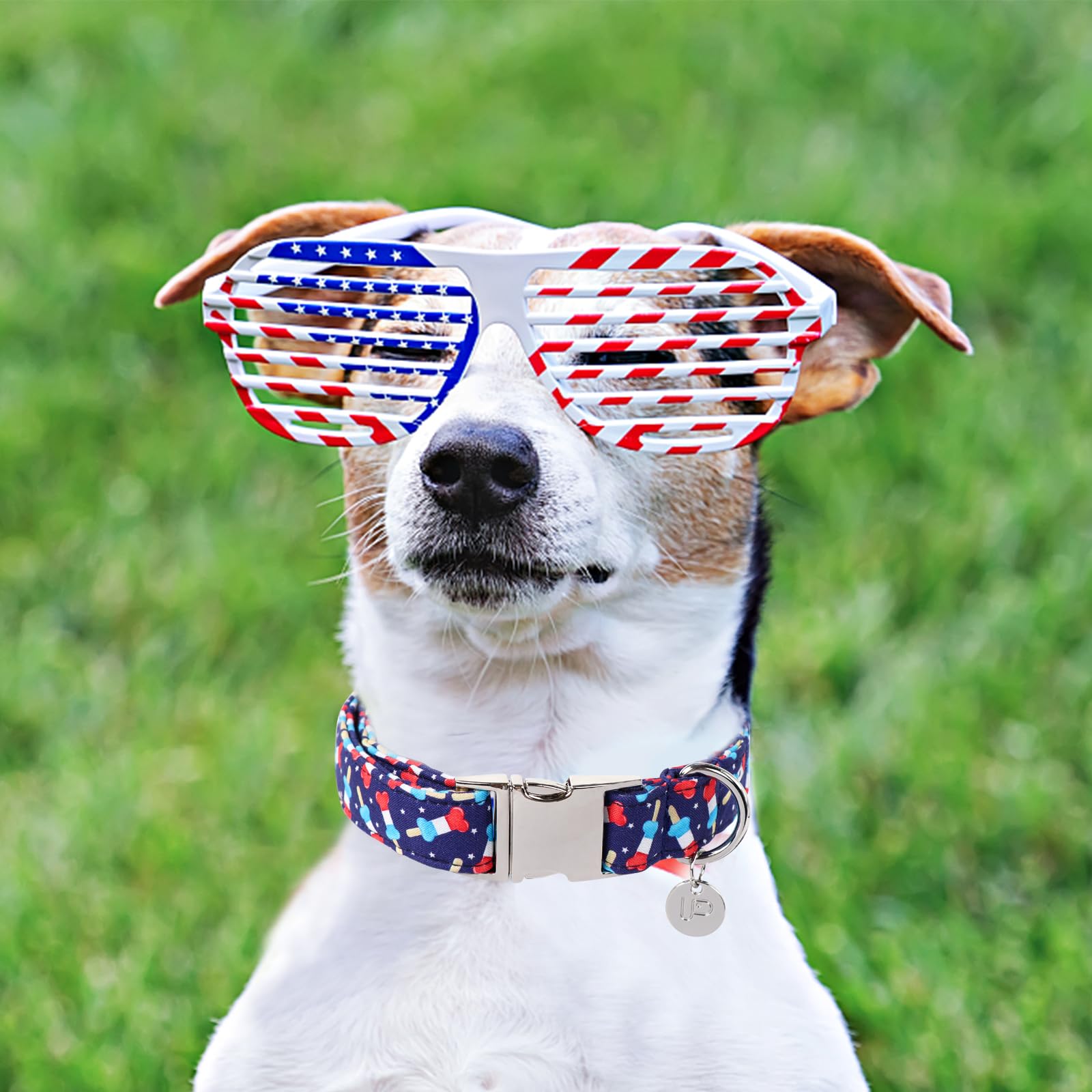 Patriotic Dog Collar, Dog Collar, American Flag Collar for Puppy Boy Girl Dog or Cat, Comfortable Summer Collar with Metal Buckle