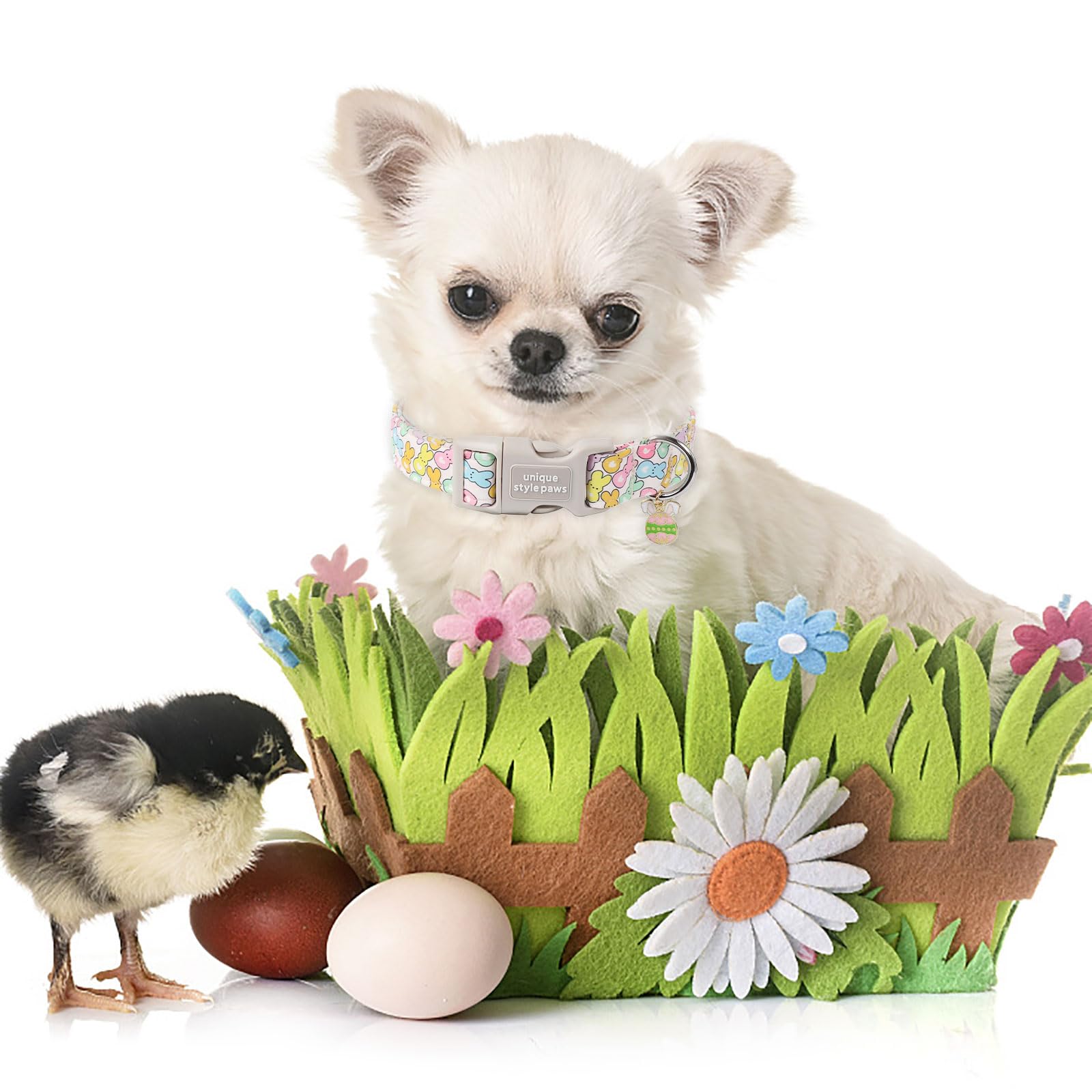 Easter Day Dog Collar Plastic Buckle Collar with Pendant Blue Sports Rabbit Ball Egg Puppy Collars Gift for Small Medium Large Boys Girls Dogs