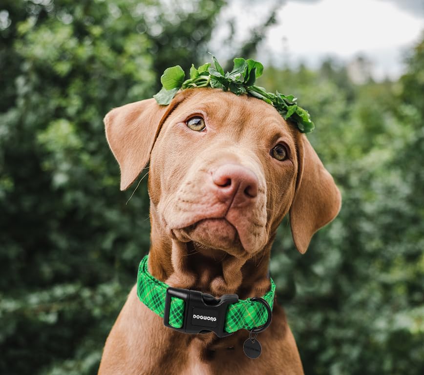 St. Patrick's Day Dog Collar, Green Plaid Dog Collar Soft Durable Adjustable Costume St. Patrick's Day Green Grid Puppy Collar for Small Medium Large Dog