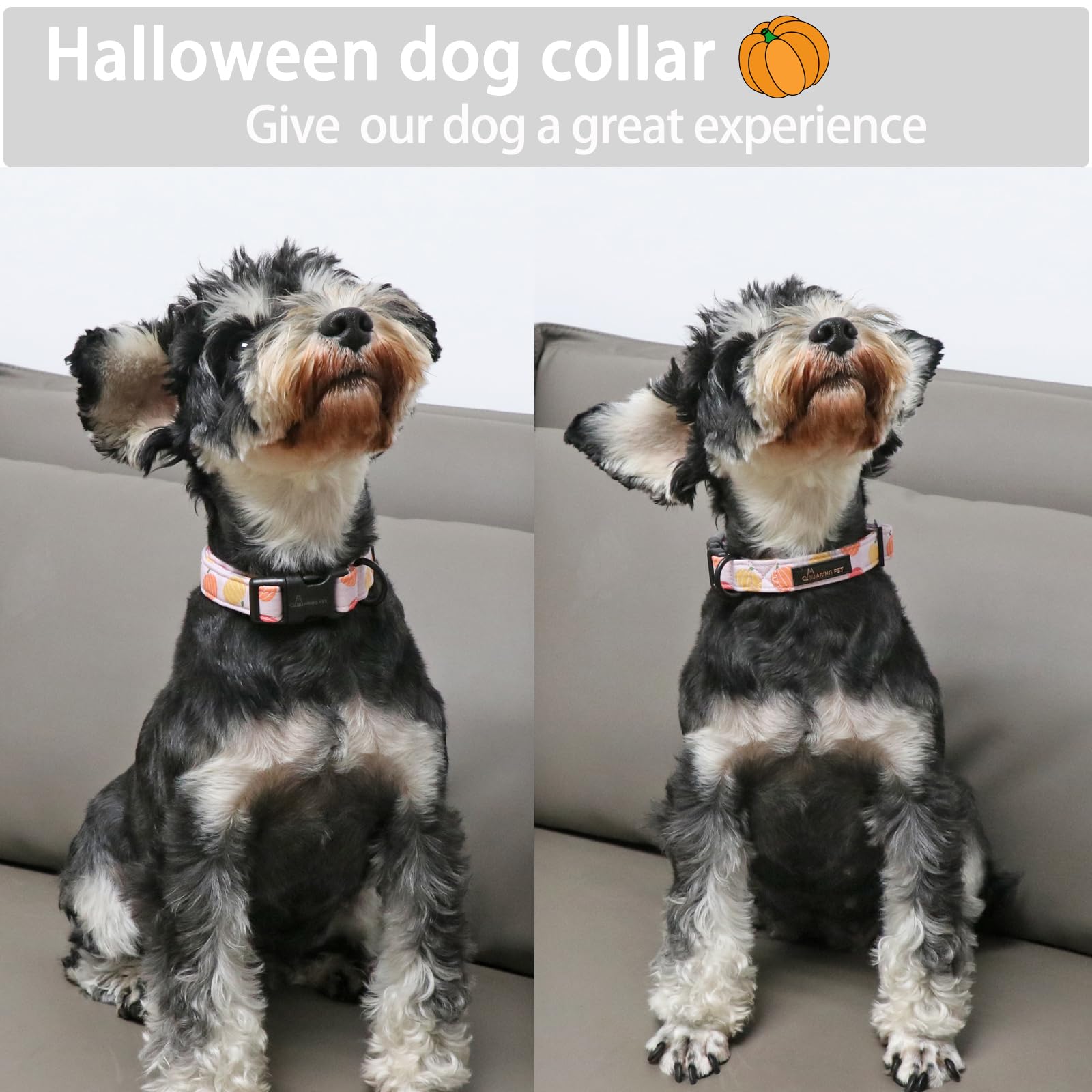 Halloween Dog Collar-Cute Pumpkin Dog Collar for Small Dogs, Cotton Pink Girl Dog Collars with Quick Release Buckle for Small Medium Large Dogs