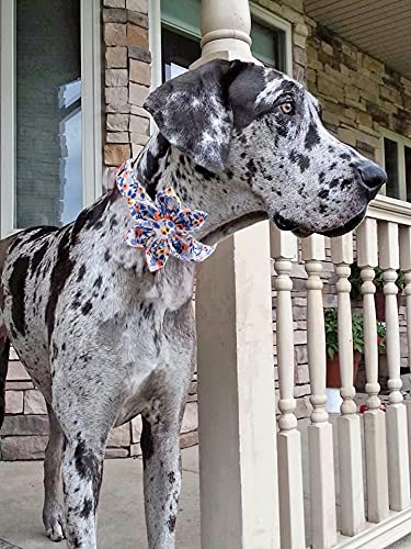 Rose Adjustable Girl Dog Collar with Flower
