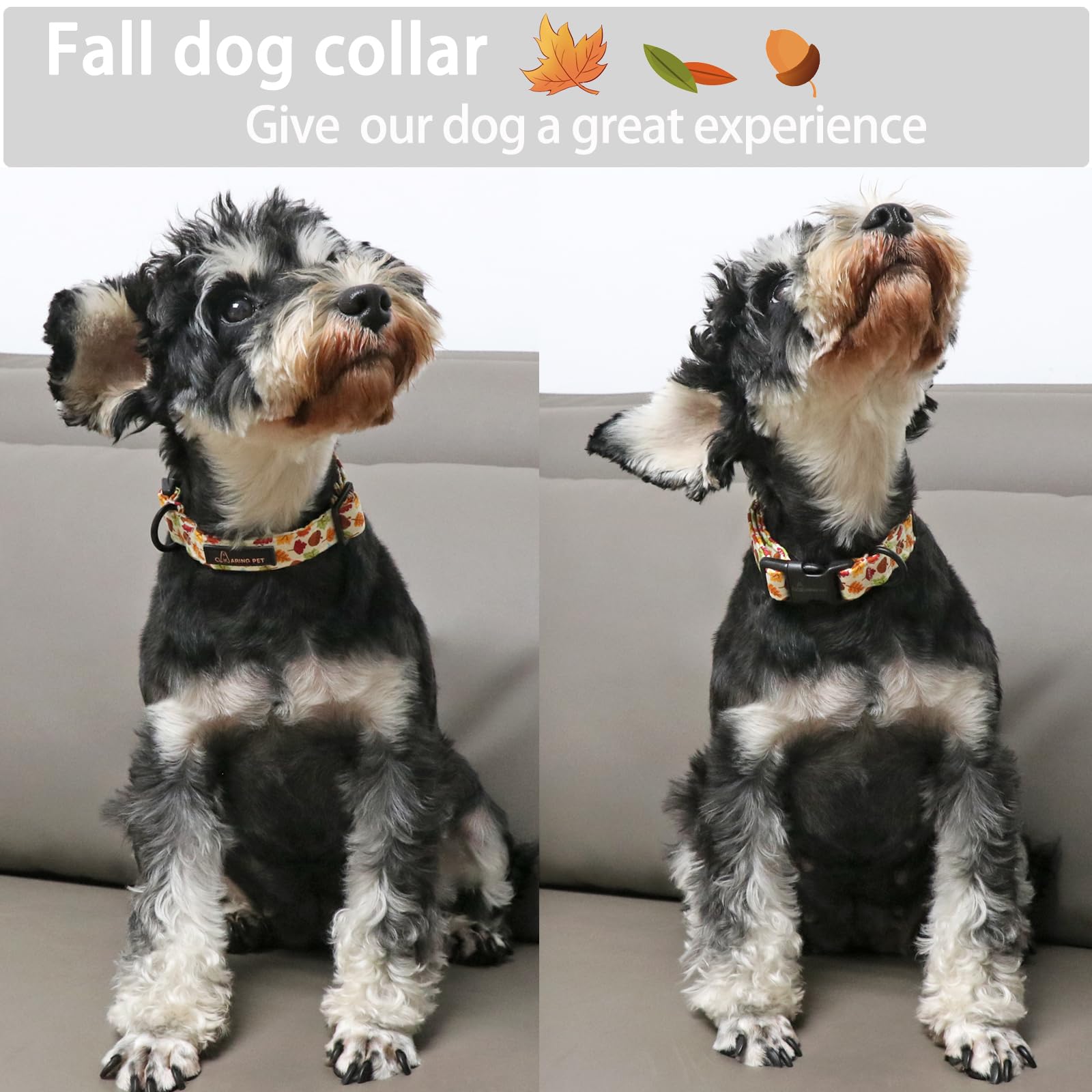 Fall Dog Collar-Cotton Maple Leaves Dog Collar for Small Dogs, Adjustable Lightweight Dog Collars with Quick Release Buckle for Small Medium Large Dogs
