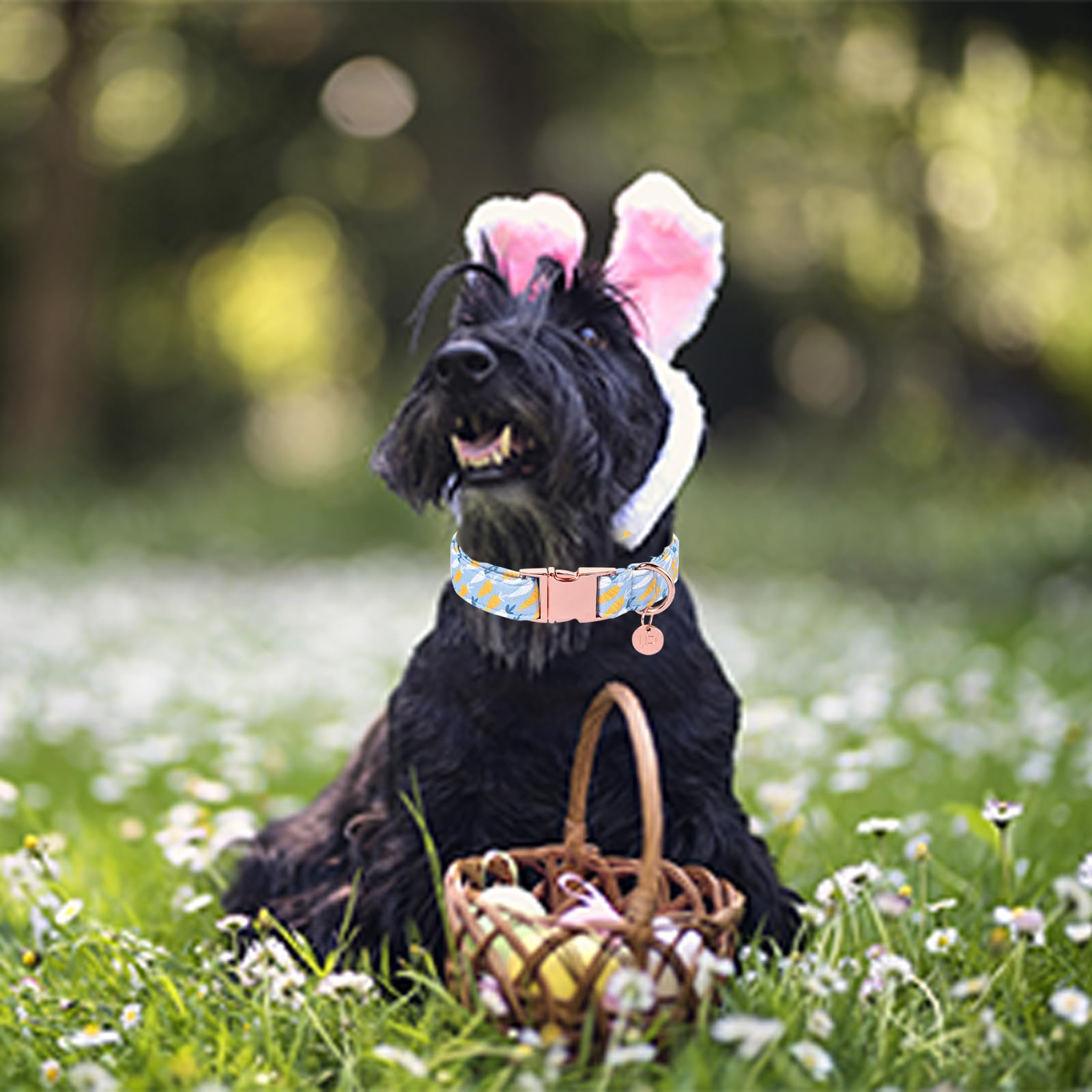 Easter Dog Collar, Cotton Easter Egg Collar for Puppy Girl Boy Dog or Cat, Easter Day Gift Rabbit Dog Collar, Cute Carrot Pet Dog Collar with Metal Buckle