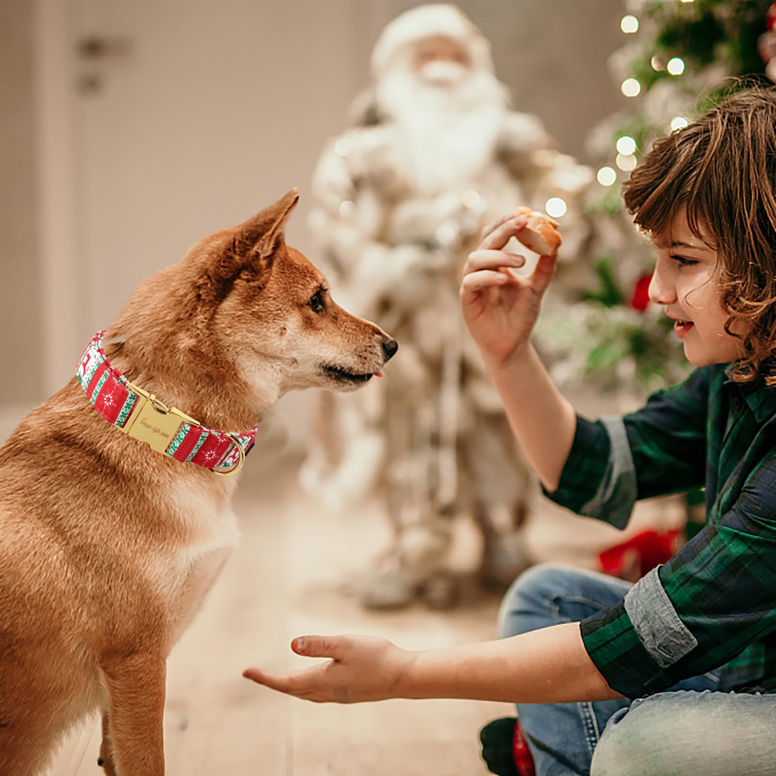 Christmas Dog Collar Metal Buckle Christmas Tree Puppy Collar Gift Durable Cute Collar for Small Medium Large Boys Girls Dogs