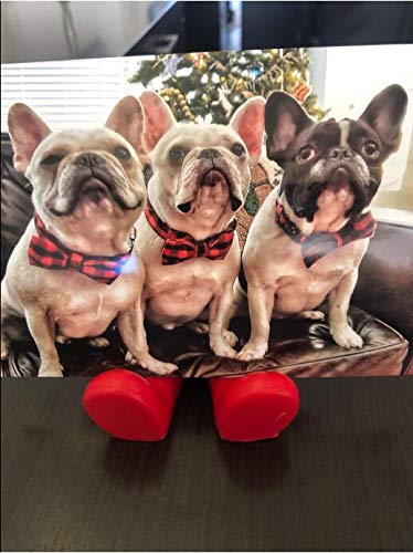 Soft &Comfy Bowtie Dog Collar and Cat Collar
