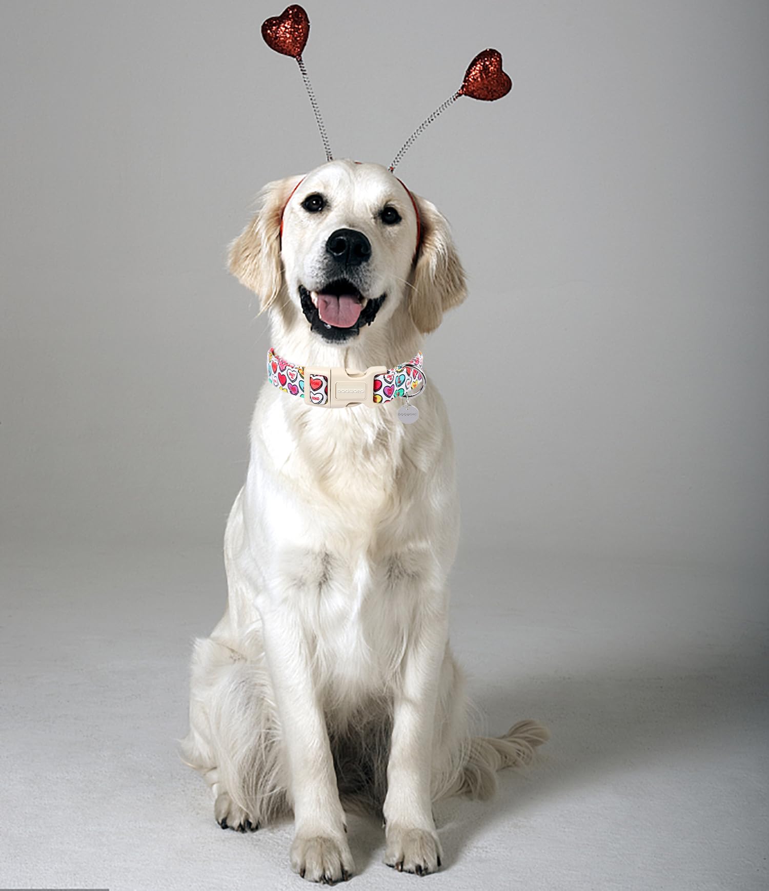 Valentine's Day Dog Collar, Adjustable Durable Heart Candy Dog Collar Cute Dog Collar for Small Medium Largr Dogs
