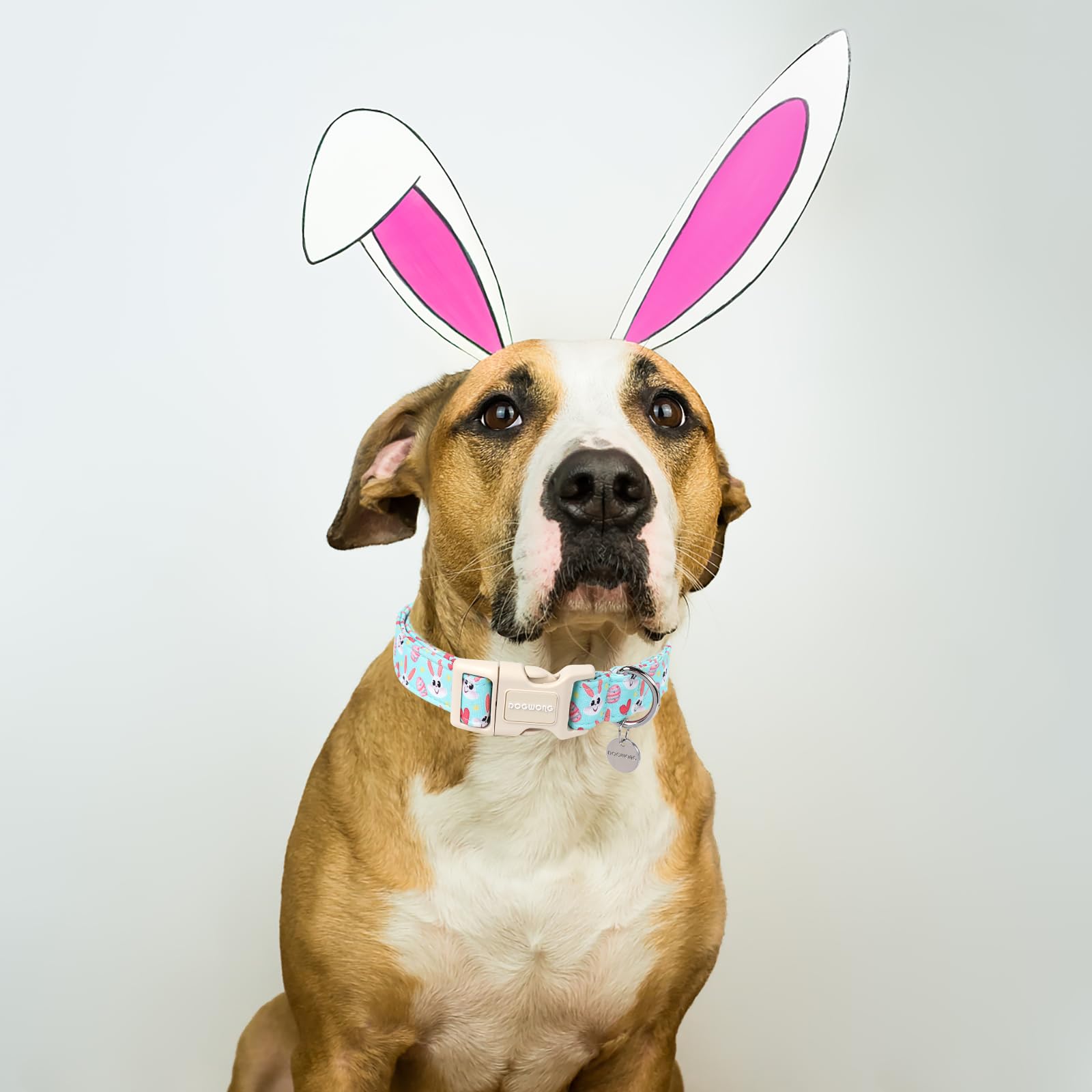 Easter Dog Collar, Blue Bunny Egg Dog Collar Soft Durable Adjustable Costume Cute Rabbit Easter Puppy Collar for Small Medium Large Dog