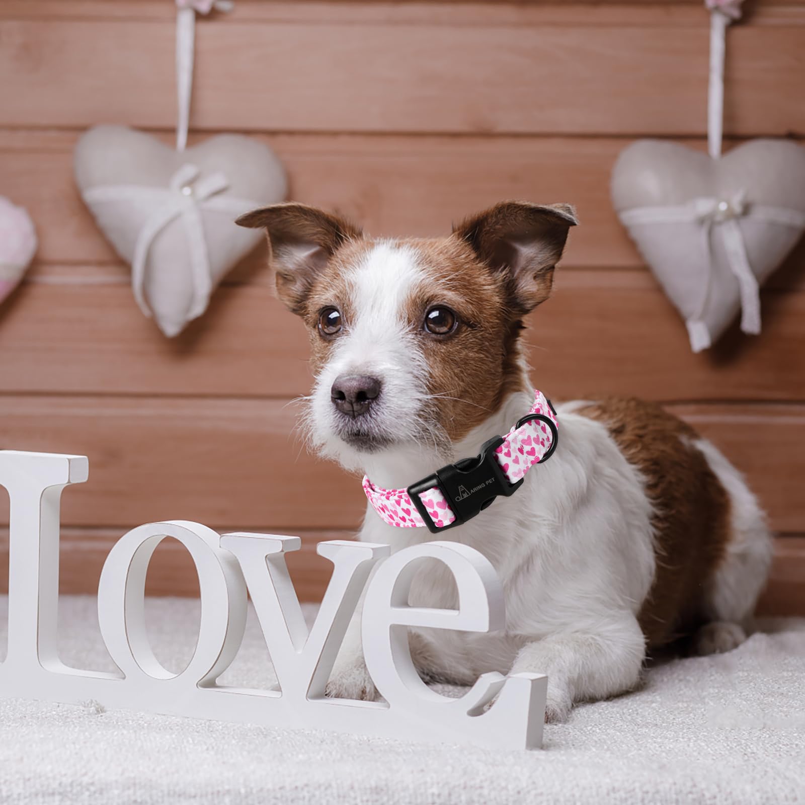 Valentine's Day Dog Collar-Cute Cotton Heart Dog Collars, Adjustable Valentine Heart Pet Collars Girl Puppy Collar with Quick Release Buckle