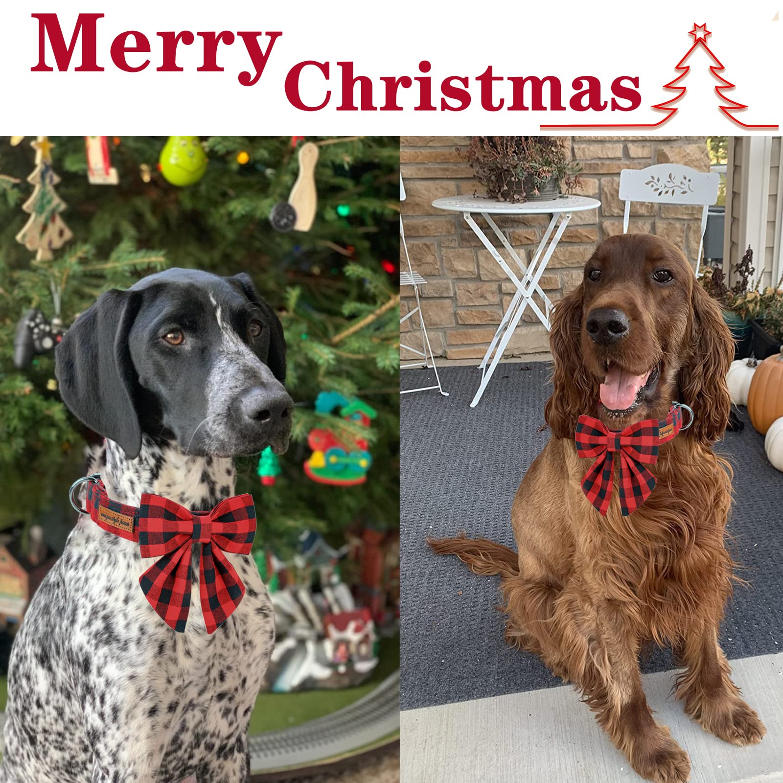 Classic Red Plaid Puppy Collar with Sailor Bow