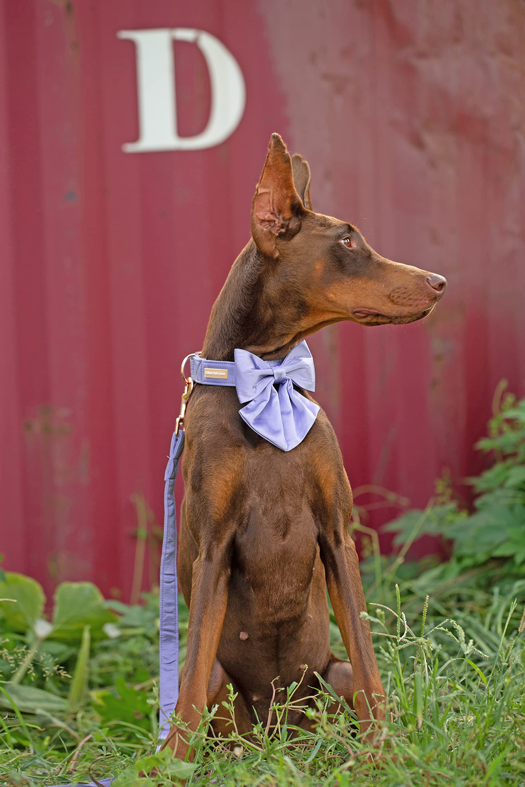 Purple Silk Dog Collar Adjustable Durable Dog Collar with Sailor Bow