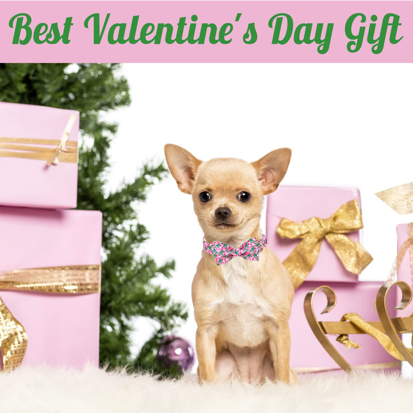 Pink Dinosaur & Heart Puppy Collar With Bowtie