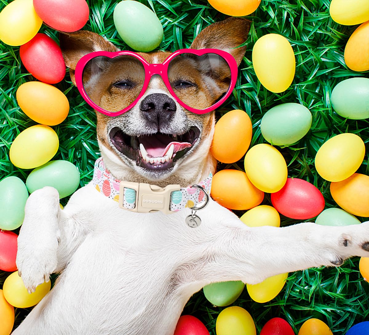 Easter Dog Collar, Colorful Egg Dog Collar Soft Durable Adjustable Costume Cute Easter Puppy Collar for Small Medium Large Dog