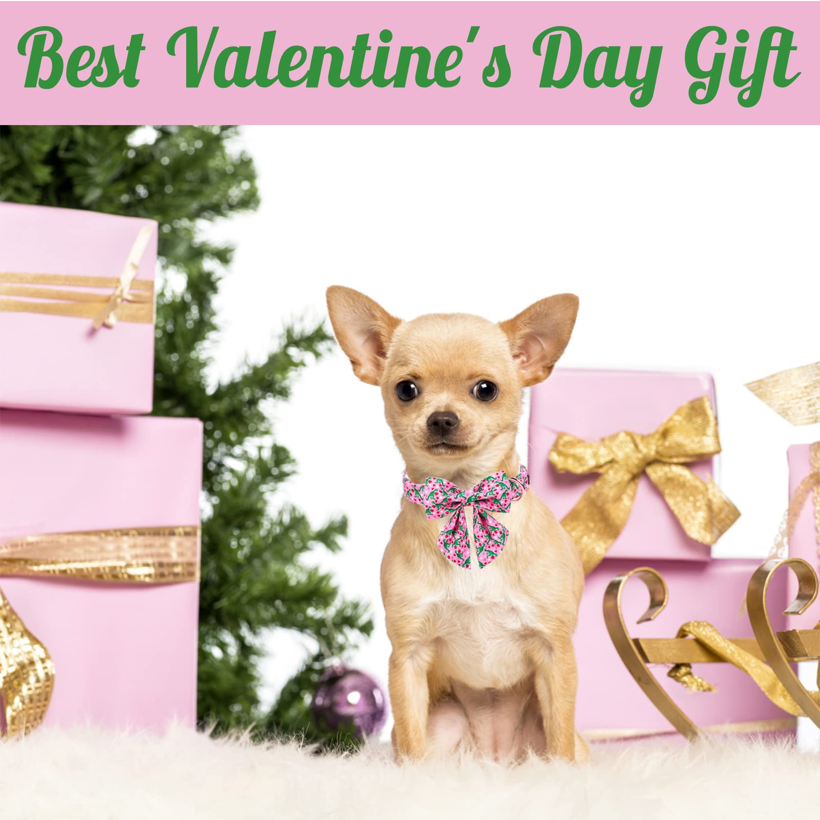 Pink Dinosaur & Heart Puppy Collar with Sailor Bow