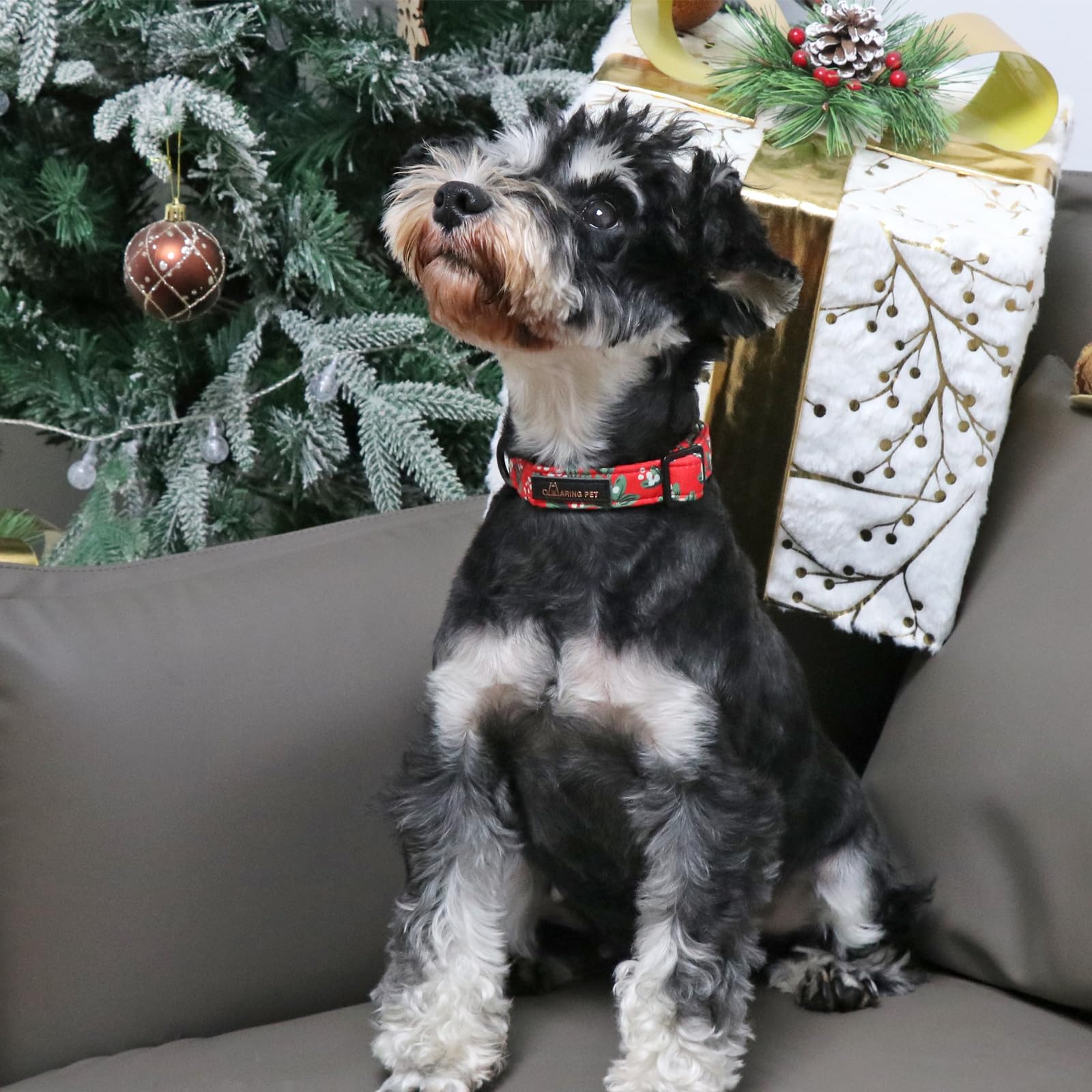 Christmas Dog Collar Cute Red Dog Collar, Adjustable Cotton Christmas Small Dog Collars Puppy Collar for Small Medium Large Dogs