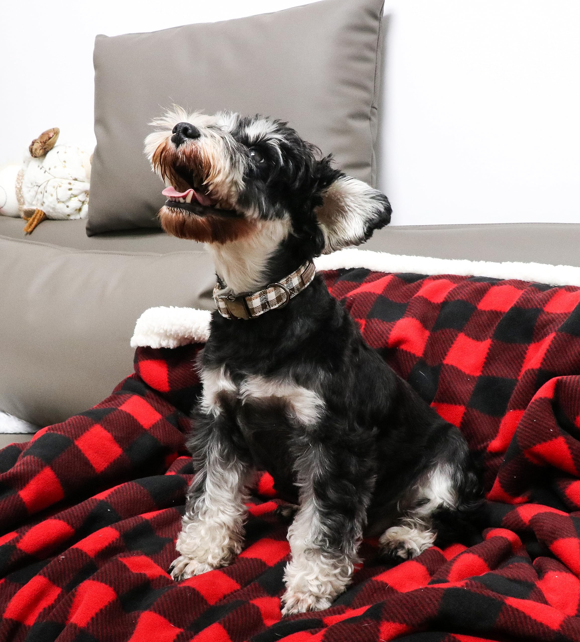 Dog Collar Metal Buckle Brown Plaid Collar Gift Durable Cute Collar for Small Medium Large Boys Girls Dogs
