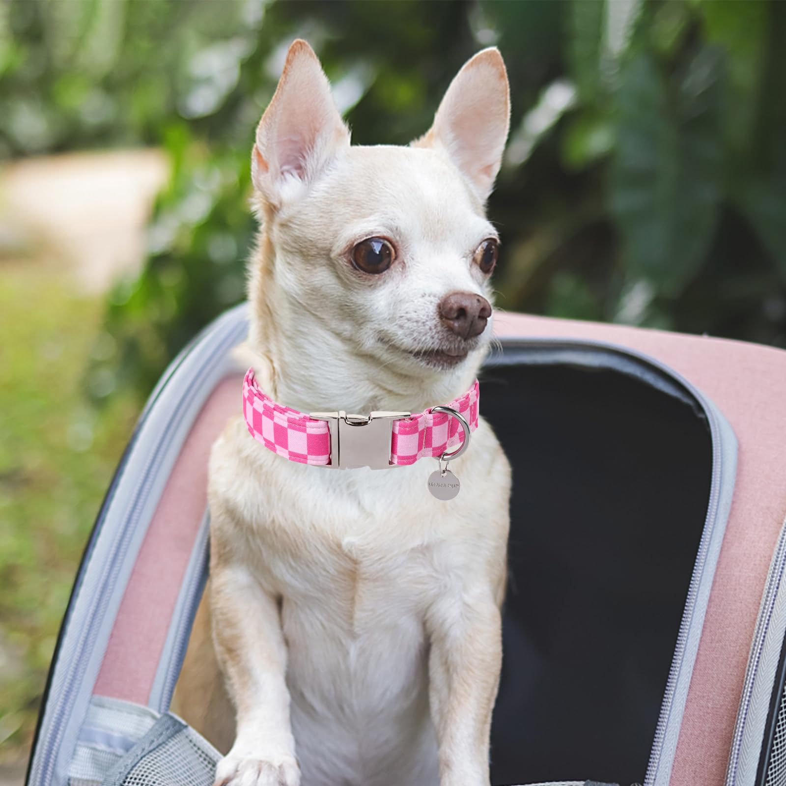 Dog Collar for Summer,Cute Pink Plaid Dog Collar,Cotton Puppy Collar with Adjustable Metal Buckle for Small,Medium,Large Girl Boy Dog