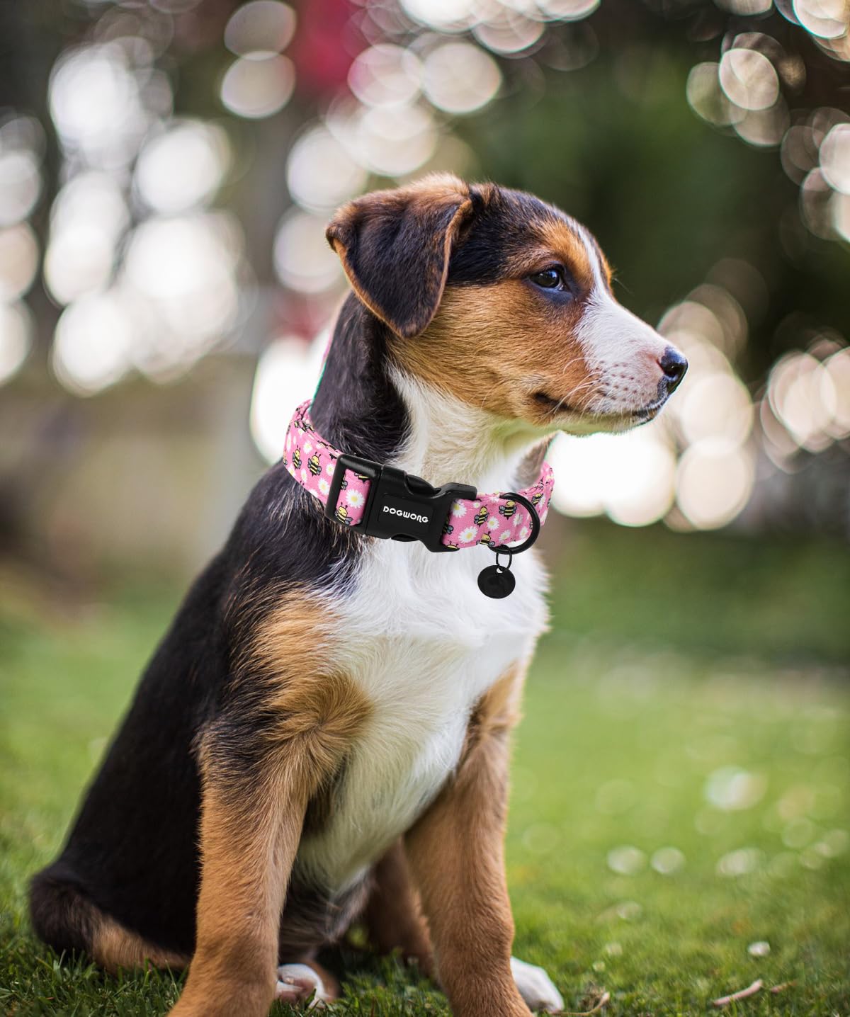 Pink Dog Collar, Female Dog Collar Durable Soft Natural Fabric Pet Girl Dog Collar Cute Daisy Puppy Necklace for Small Medium Large Dog