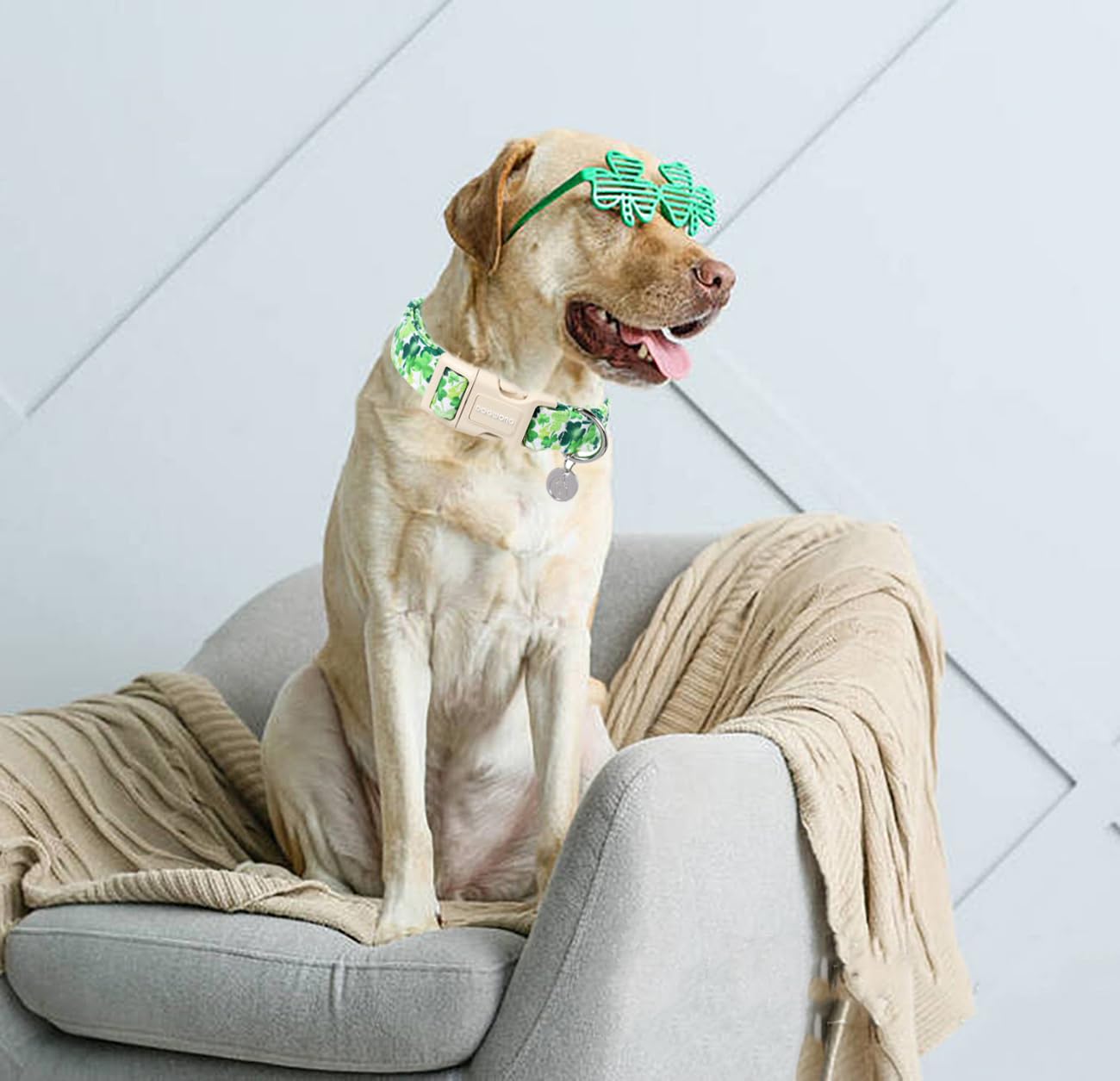 St. Patrick's Day Dog Collar, Green Lucky Clover Shamrock Green Dog Collar Soft Durable Adjustable Costume St. Patrick's Day Lucky Charm Puppy Collar for Small Medium Large Dog