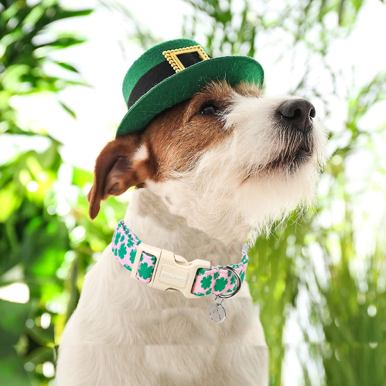St. Patrick's Day Dog Collar, Pink Lucky Clover Shamrock Dog Collar Soft Durable Adjustable Costume Lucky Charm Puppy Collar for Small Medium Large Dog