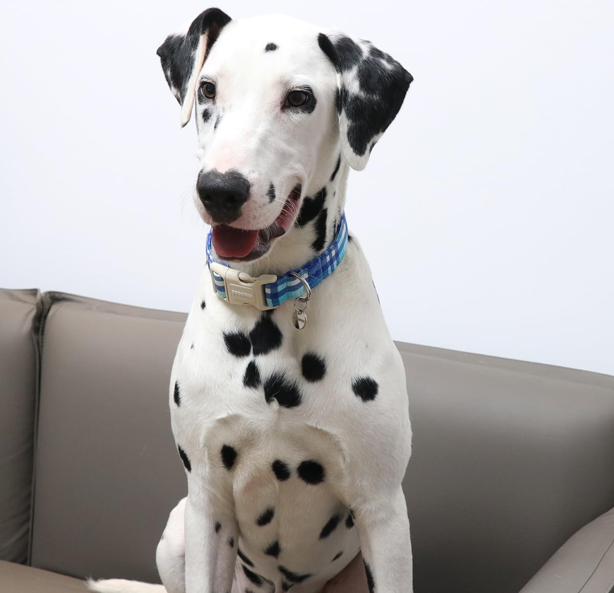 Cotton Dog Collar, Heavy-Duty Dog Collar Durable Soft Boy Dog Collar Cute Wedding Puppy Necklace for Small Medium Large Dogs