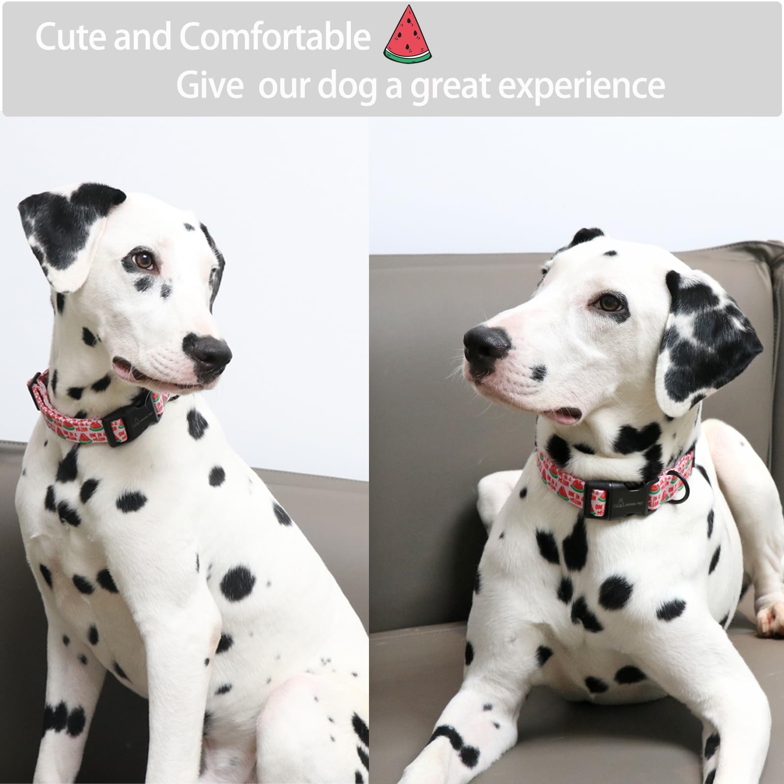 Summer Dog Collar-Cute Watermelon Dog Collar for Small Dogs, Adjustable Soft Cotton Girl Dog Collars for Small Medium Large Dogs