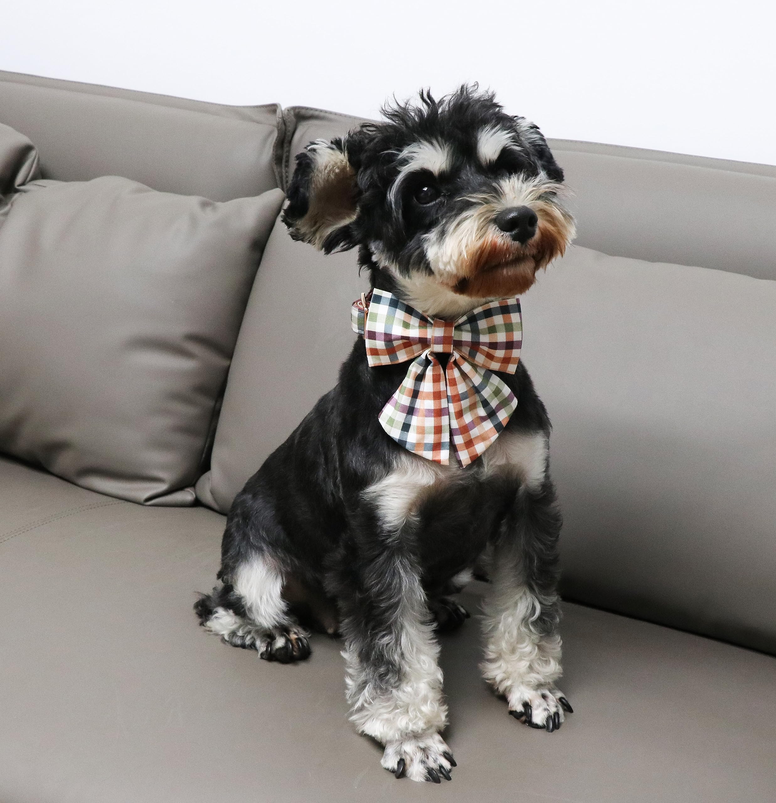 Bow Floral Plaid Colorful Dog Collar with Sailor Bow