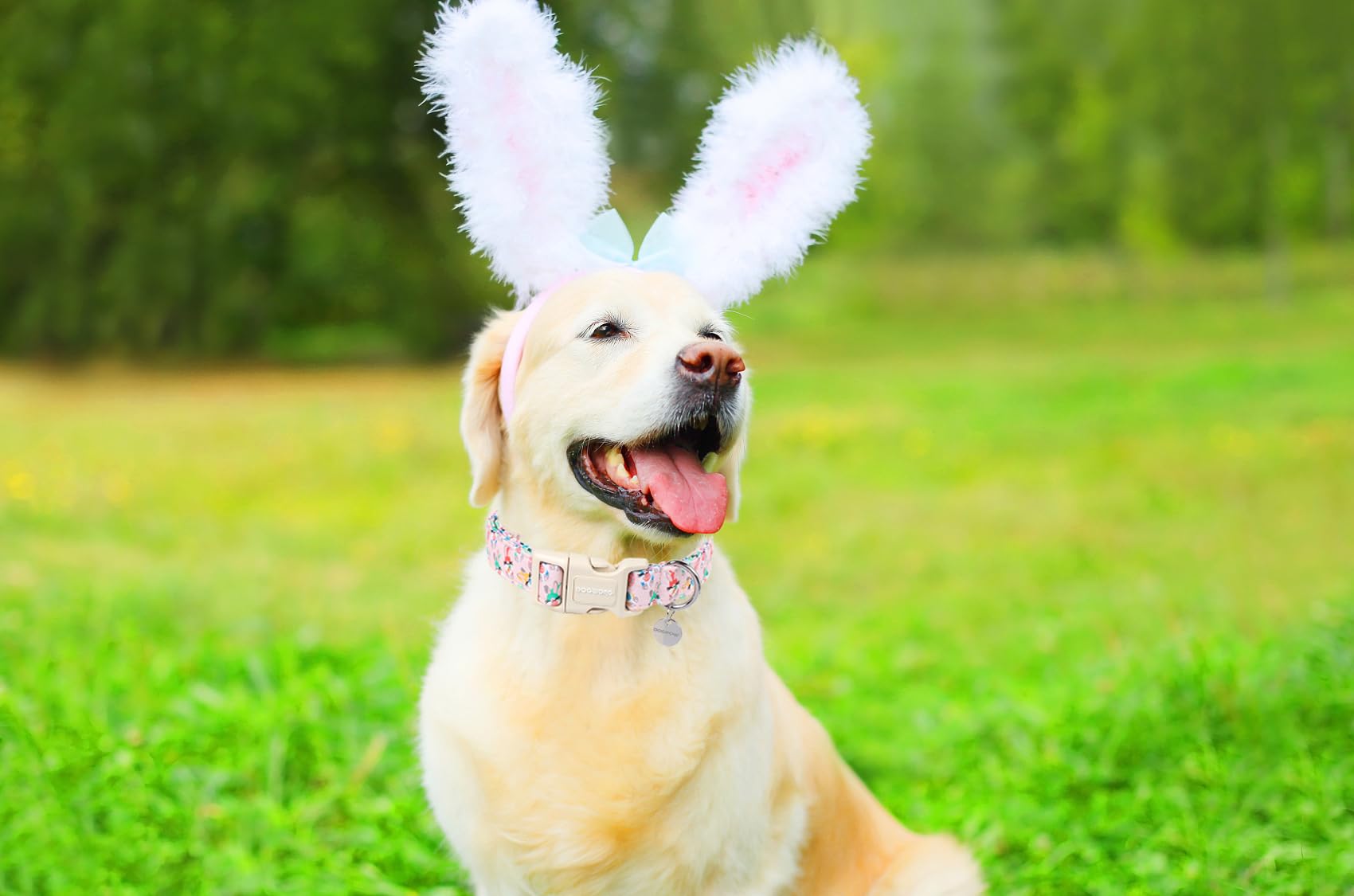 Easter Rabbit Dog Collar, Colorful Egg Dog Collar Soft Durable Adjustable Comfortable Cute Easter Puppy Collar for Small Medium Large Dog