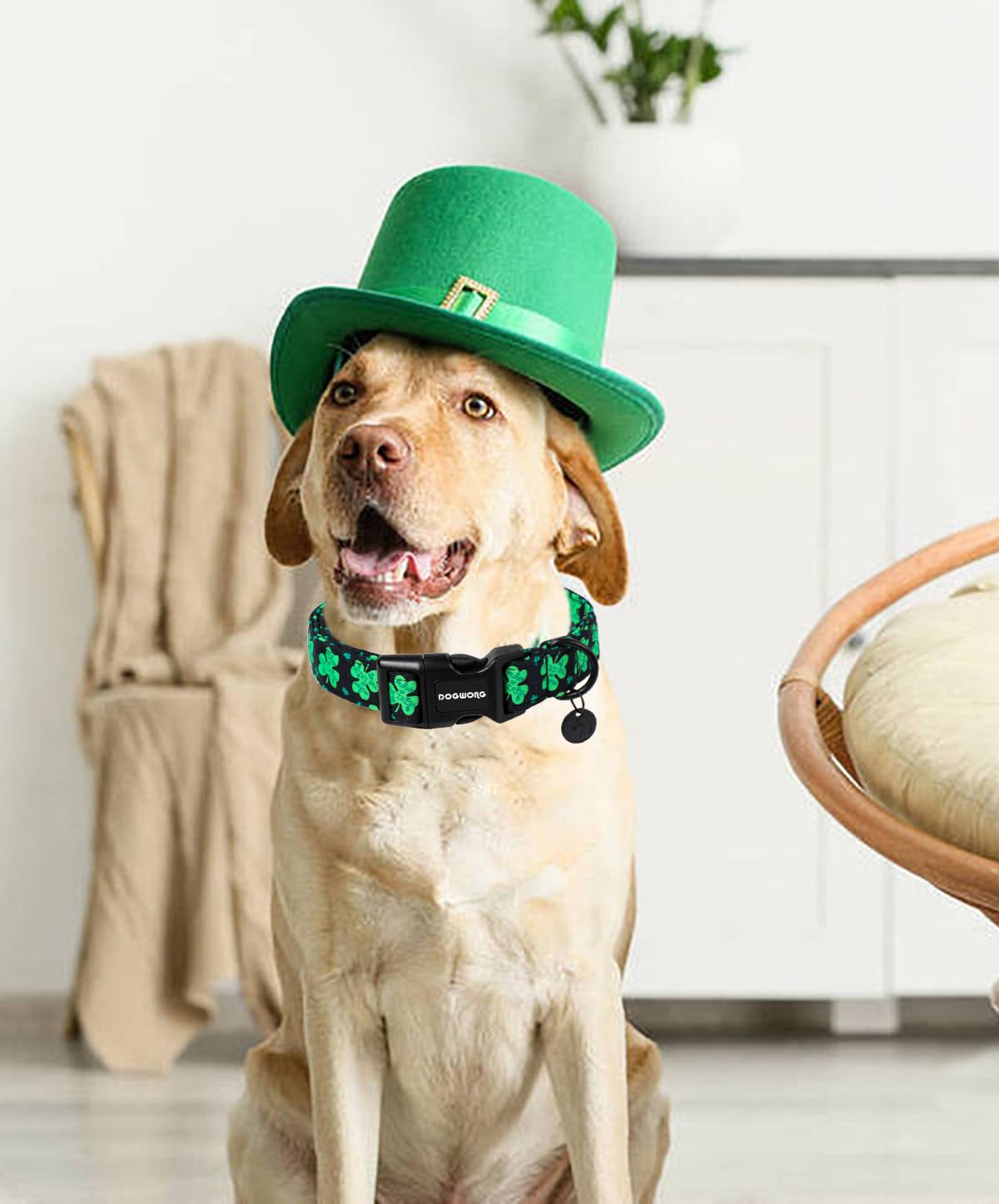 Black St. Patrick's Day Dog Collar, Green Lucky Clover Shamrock Dog Collar Soft Durable Adjustable Costume Bright Lucky Charm Puppy Collar for Small Medium Large Dog