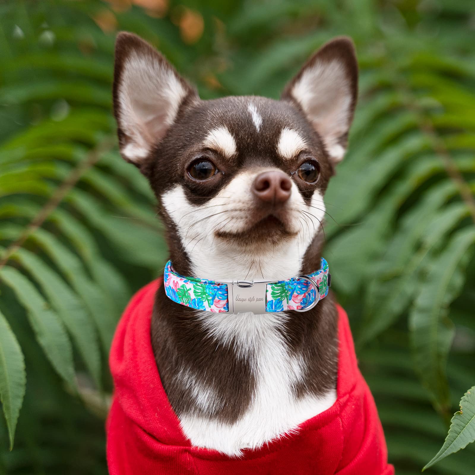 Dog Collar Metal Buckle Painting Banana Leaves Collar Gift Durable Cute Collar for Small Medium Large Boys Girls Dogs