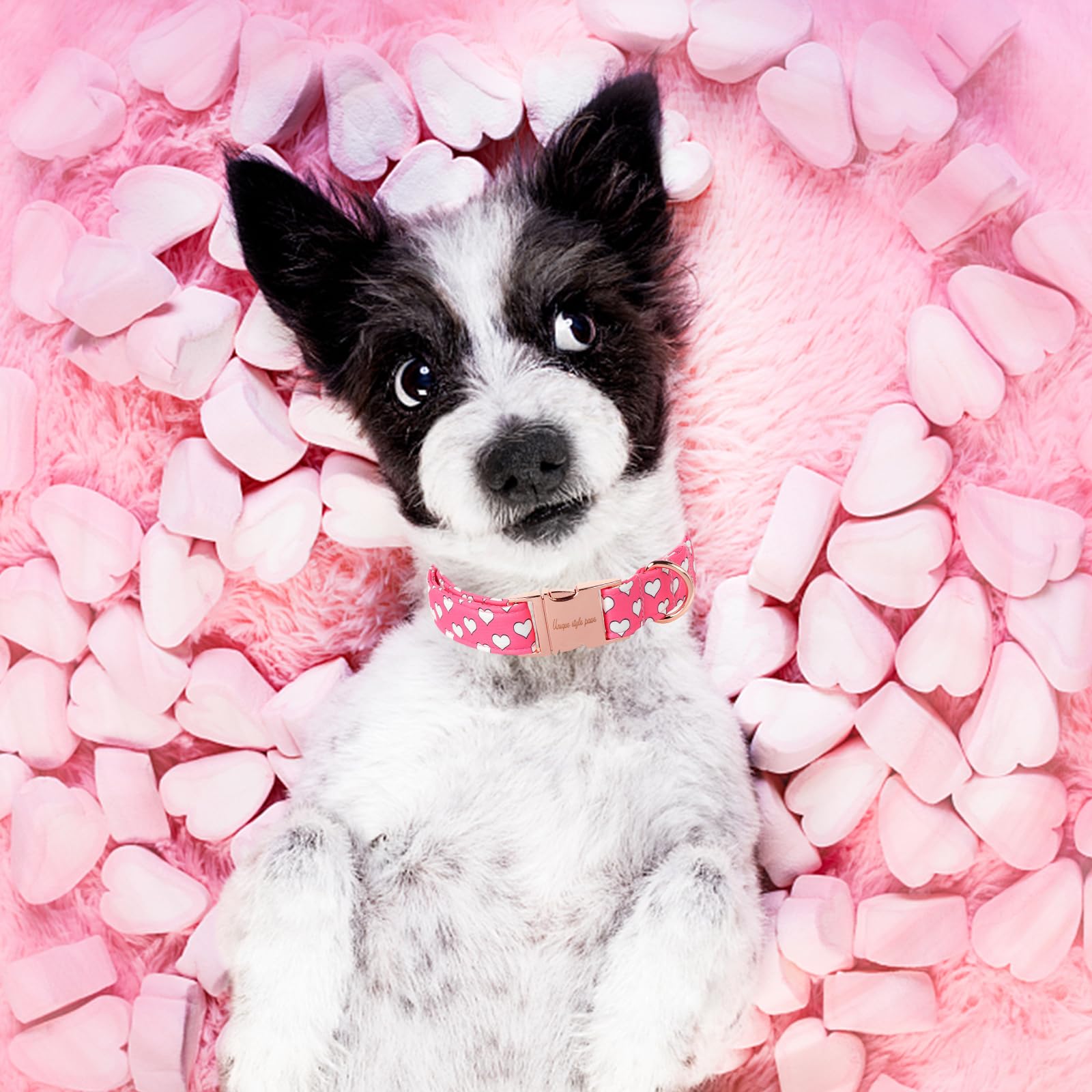 Dog Collar Metal Buckle Collar for Valentine's Day Gift Pink Heart Love for Small Medium Large Boys Girls Dogs