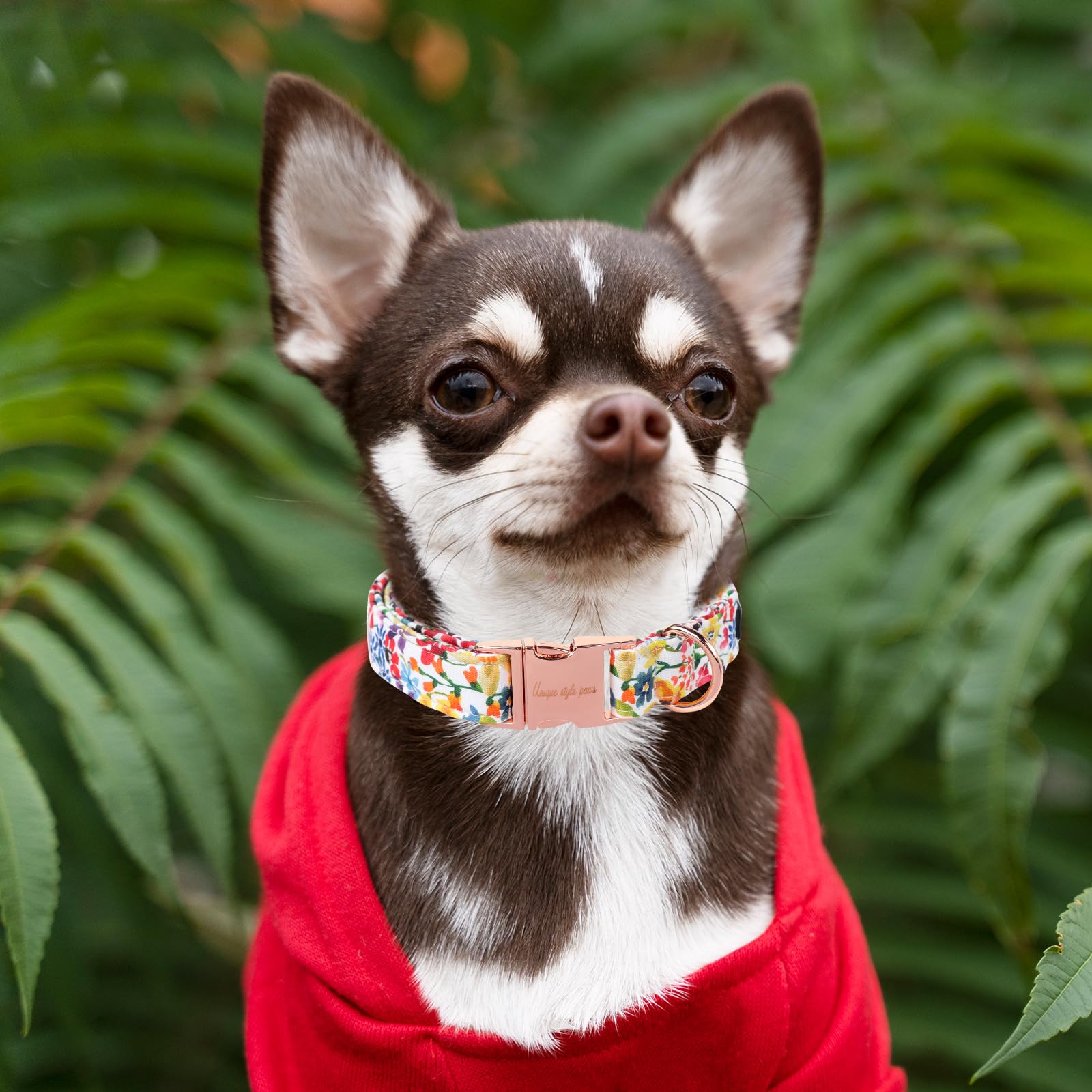 Dog Collar Metal Buckle Colorful Flower Collar Gift Durable Cute Collar for Small Medium Large Boys Girls Dogs