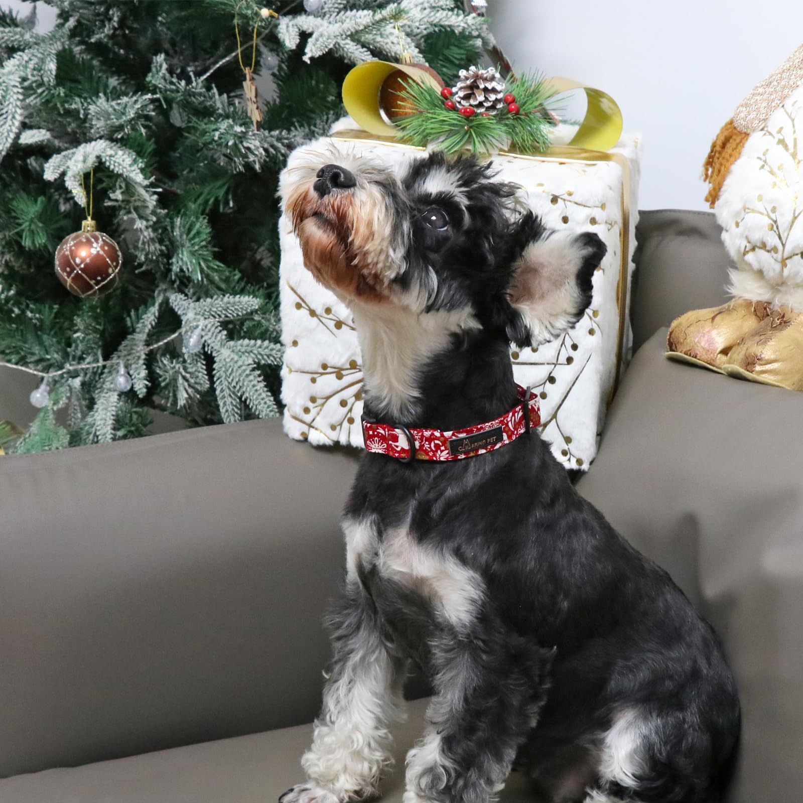Christmas Dog Collar Cute Red Reindeer Dog Collars, Cotton Lightweight Christmas Dog Collars Puppy Collar for Small Medium Large Dogs