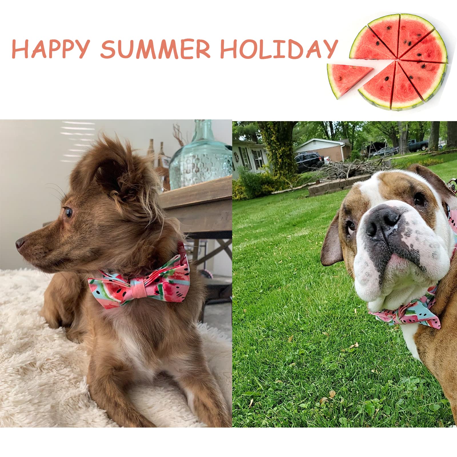 Watermelon Collar Adjustable Summer Collar With Bowtie
