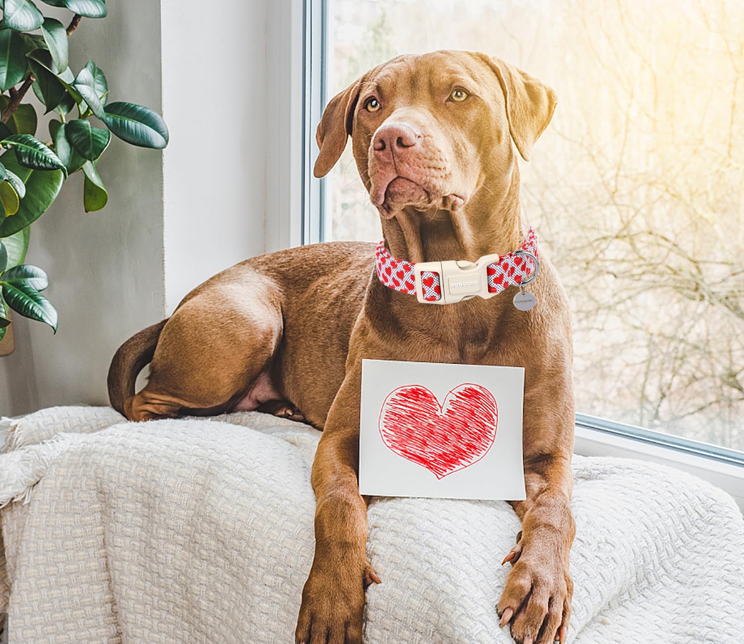 Valentine's Day Dog Collar,Red Heart Adjustable Cotton Heart Dog Collar,Perfect Dog Collar for Small Medium Large Dogs