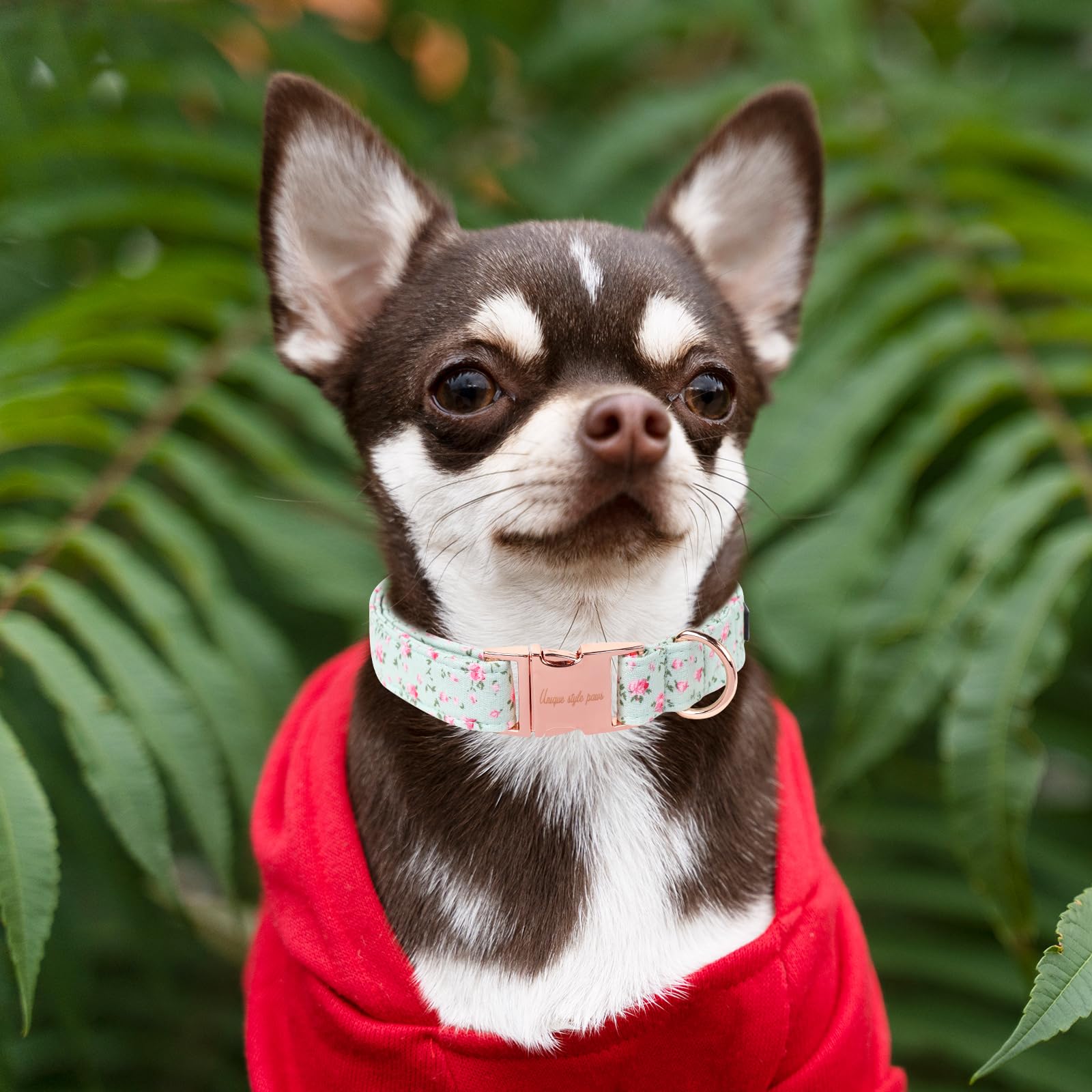 Dog Collar Metal Buckle Green Flowers Collar Gift Durable Cute Collar for Small Medium Large Boys Girls Dogs