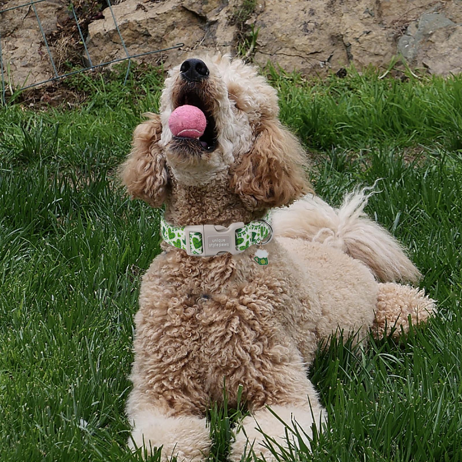 St. Patrick's Day Dog Collar Plastic Buckle Collar with Pendant Green Lucky Magic Hat Gift for Small Medium Large Boys Girls Dogs