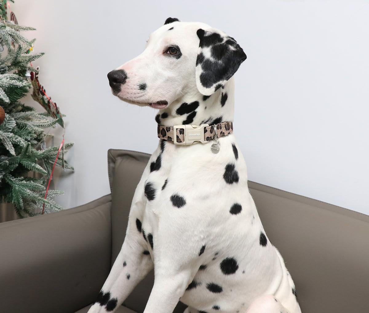 Cotton Dog Collar, Spring Summer Dog Collar Durable Soft Natural Fabric Pet Dog Collar Cute Wedding Puppy Necklace for Small Medium Large Dog
