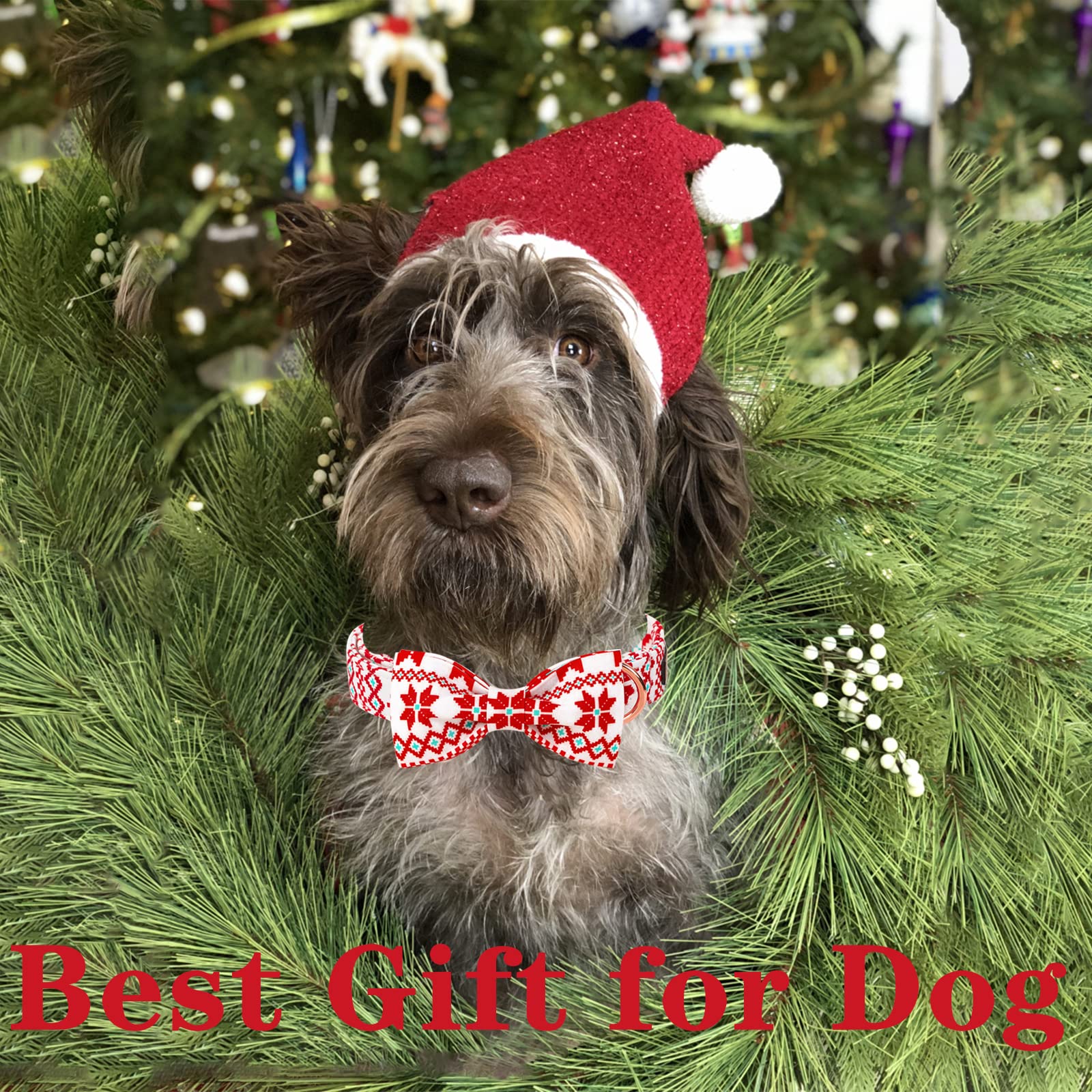 Christmas Dog Collar with Bowtie