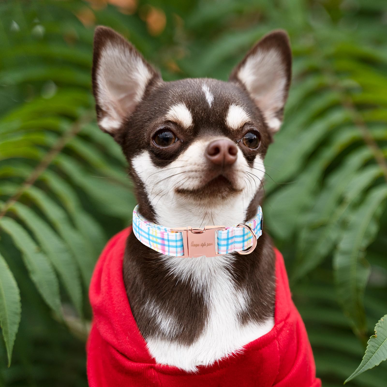 Dog Collar Metal Buckle Blue Pink Grid Collar Gift Durable Cute Collar for Small Medium Large Boys Girls Dogs