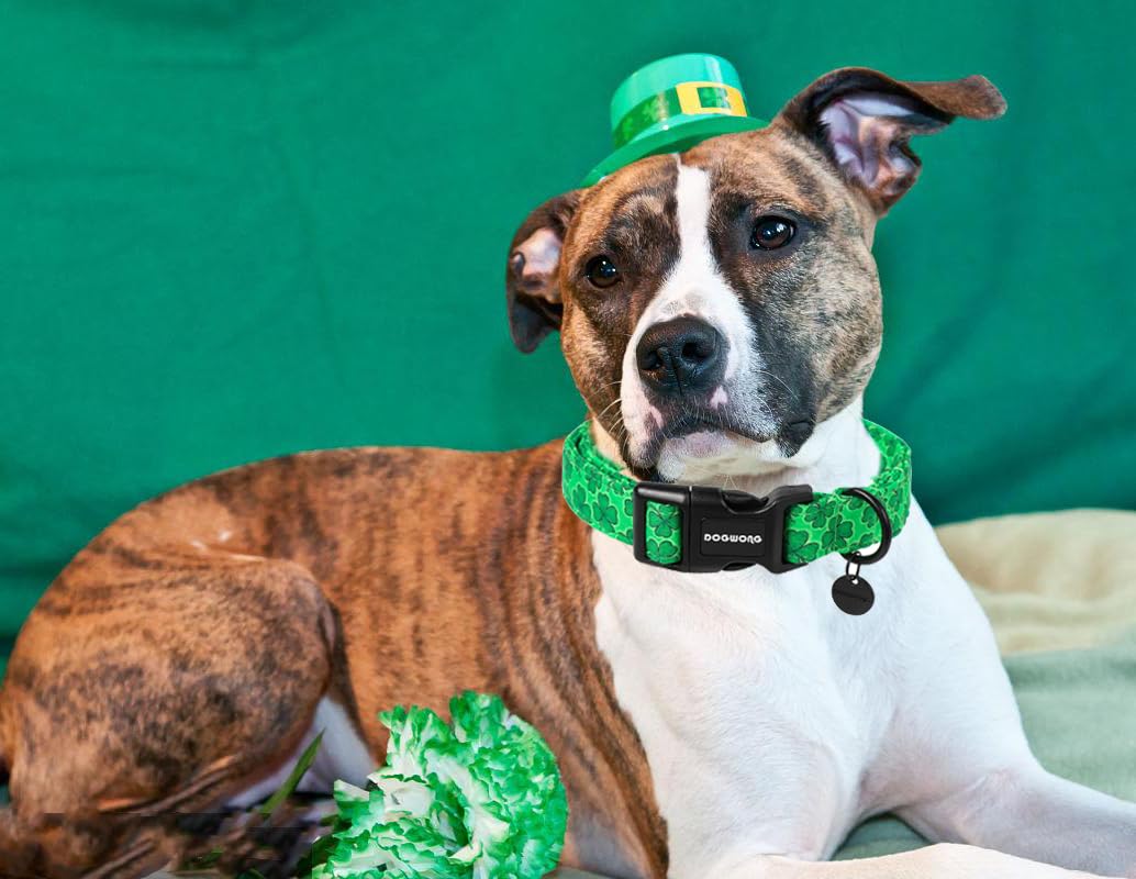 St. Patrick's Day Dog Collar, Green Lucky Clover Shamrock Green Dog Collar Soft Durable Adjustable Costume St. Patrick's Day Lucky Charm Puppy Collar for Small Medium Large Dog