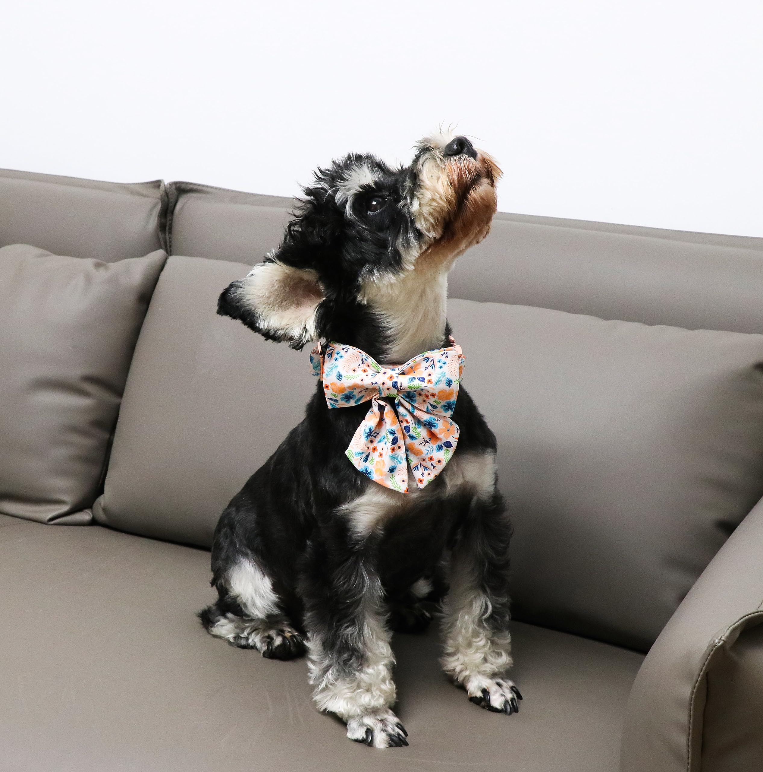 Floral Plaid Colorful Dog Collar with Bow Tie