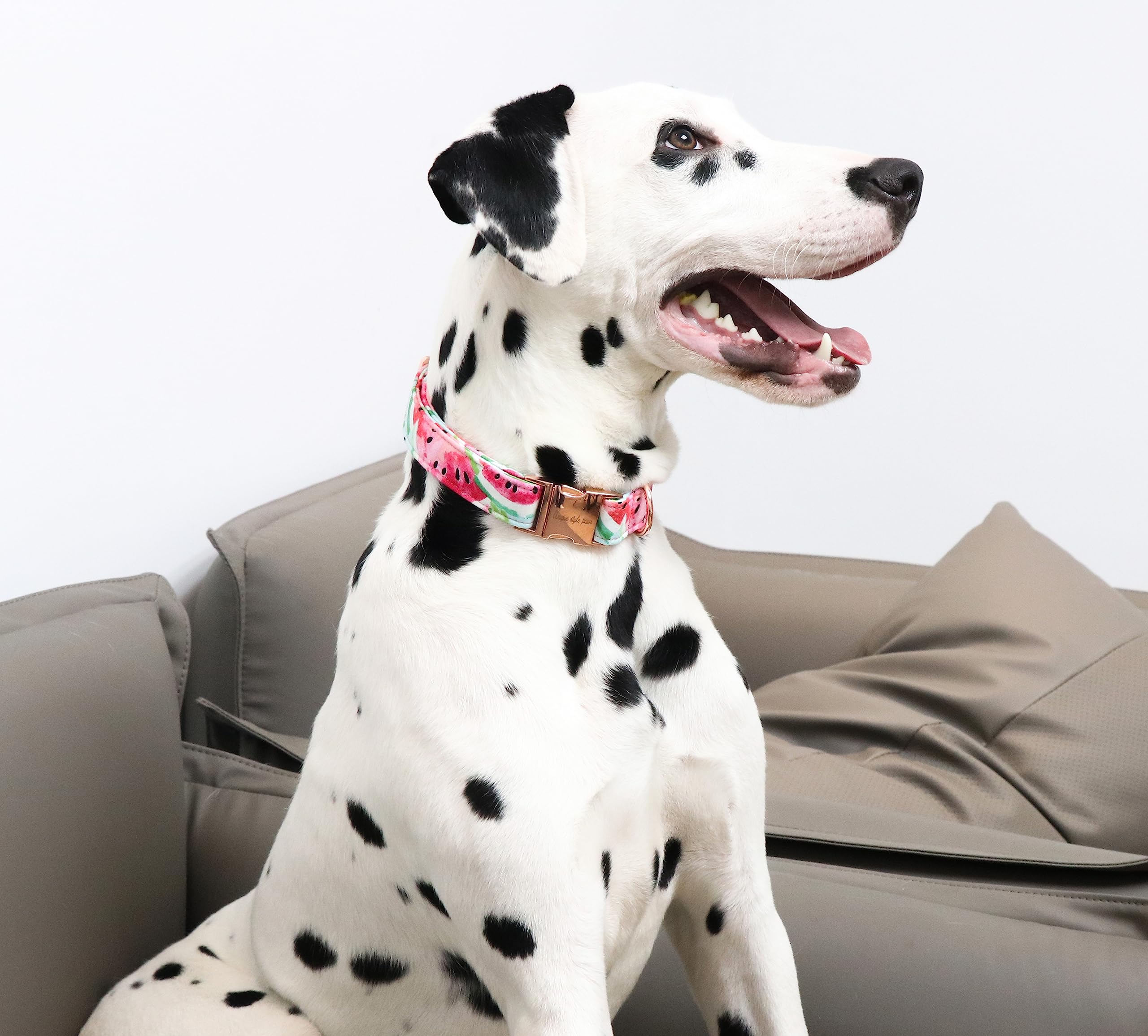 Dog Collar Metal Buckle Watermelon Collar Gift Durable Cute Collar for Small Medium Large Boys Girls Dogs