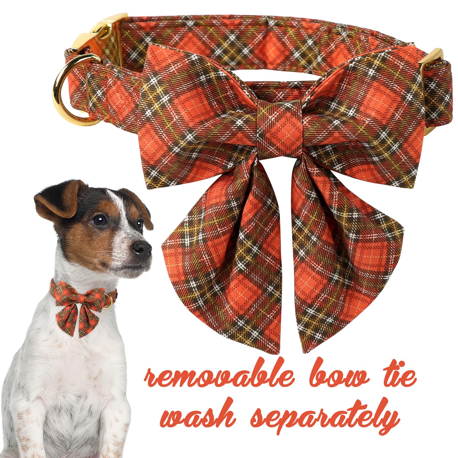 Halloween Pumpkin Plaid Dog Collar with Sailor Bow